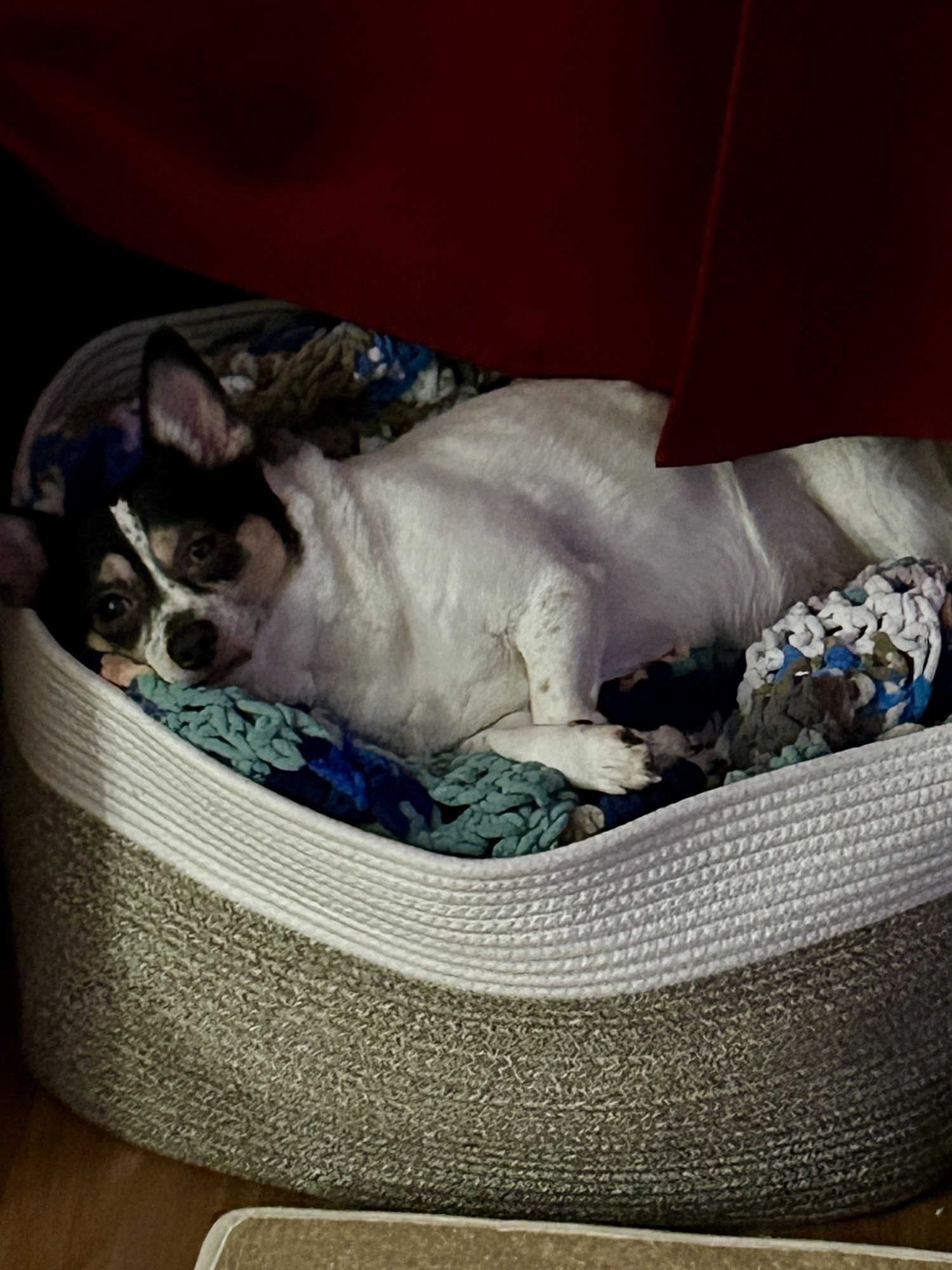 Fairview Animal Hospital Fairview