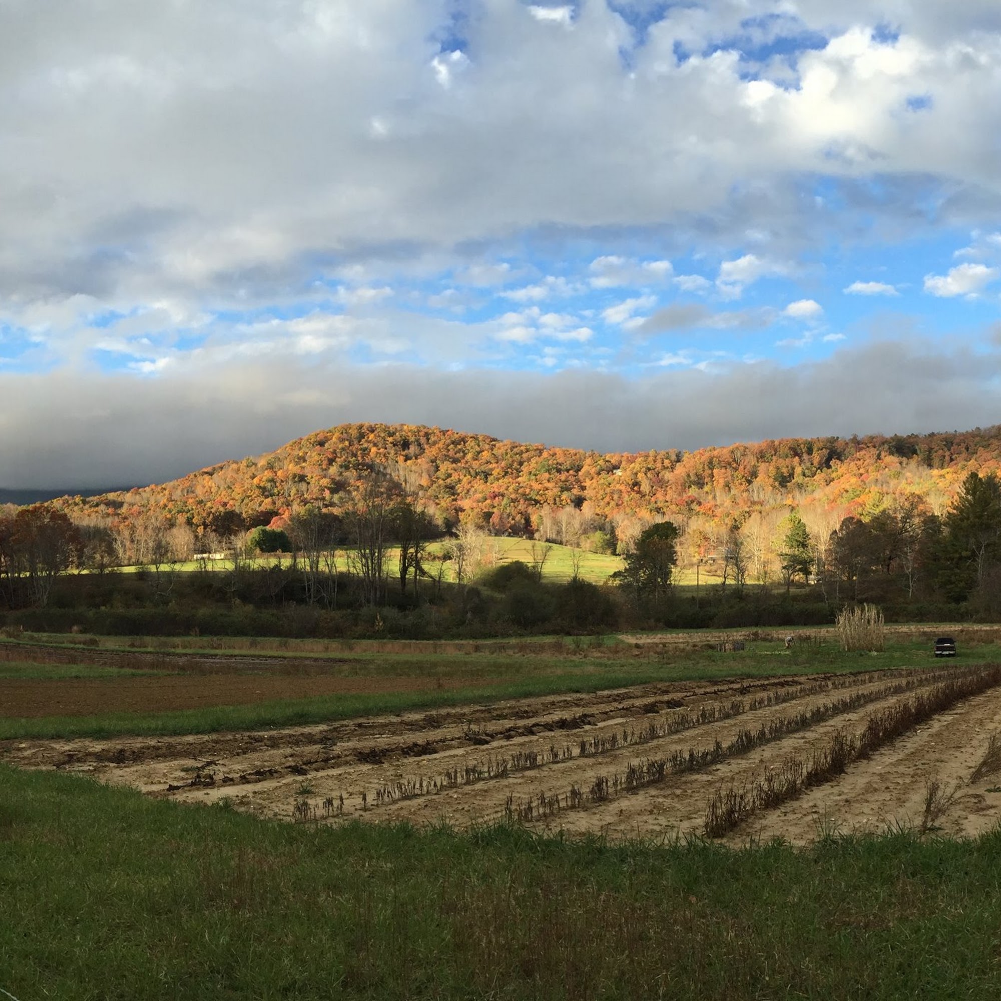 Turgua Brewing Fairview