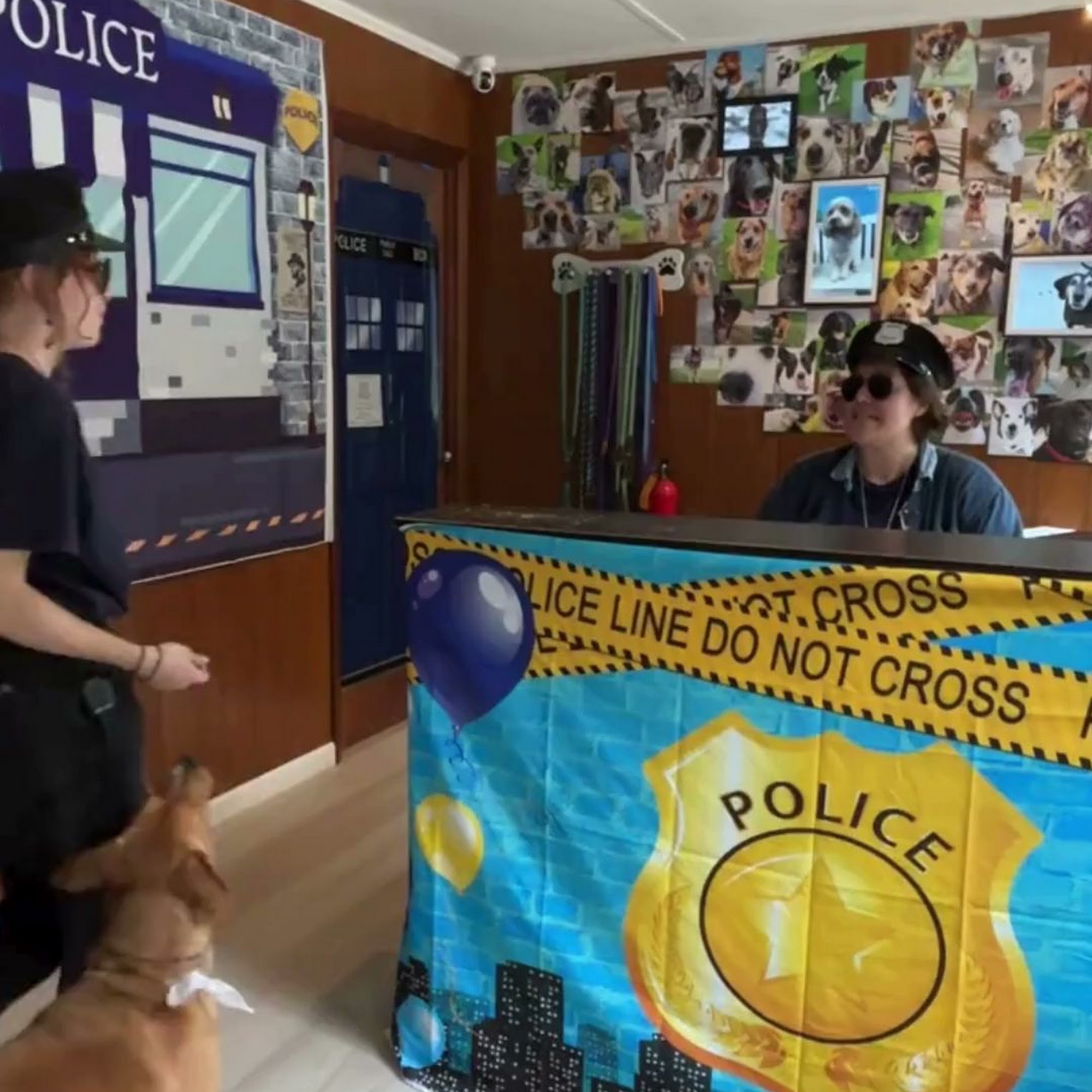 Fairview Boarding Fairview