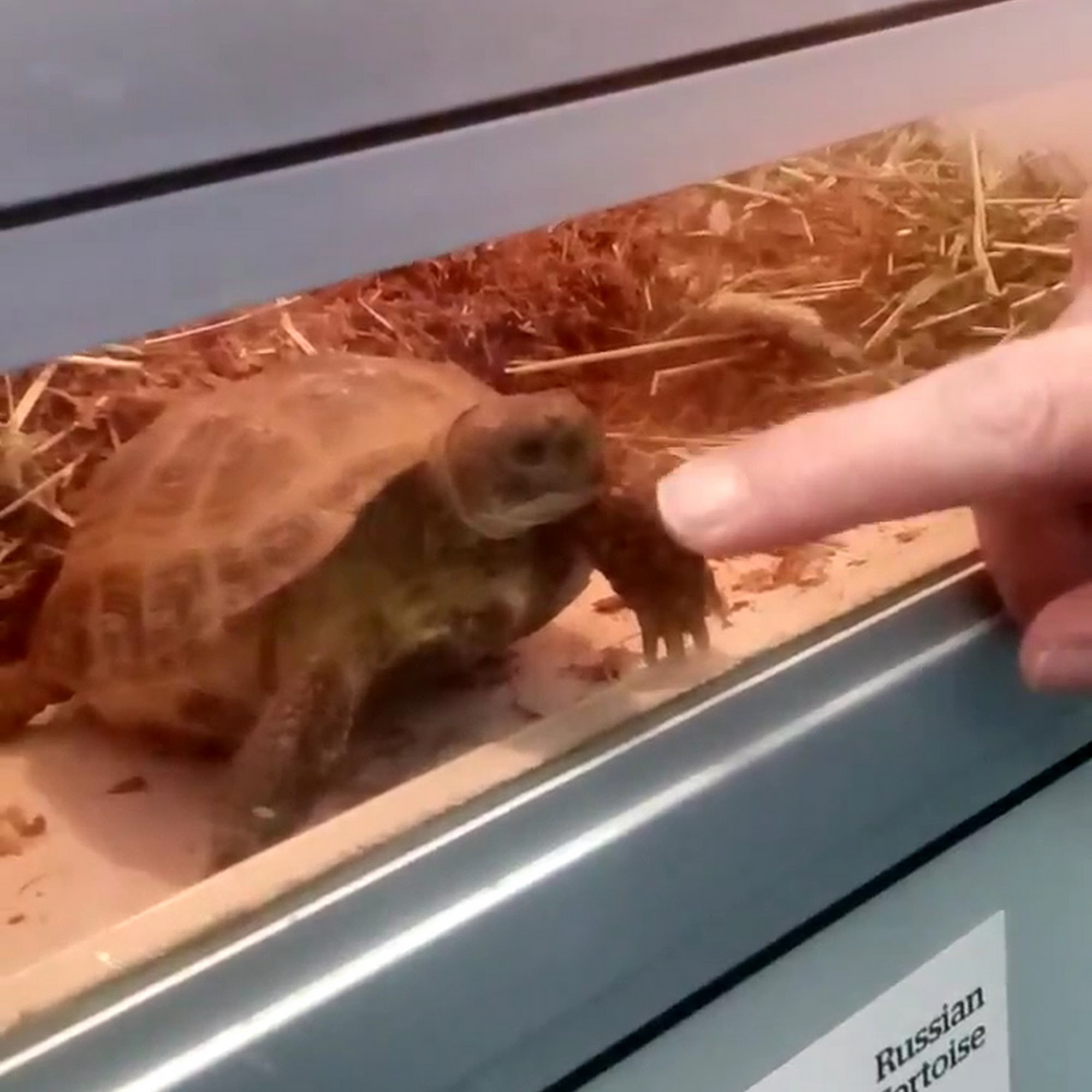 Pet Supermarket Fayetteville