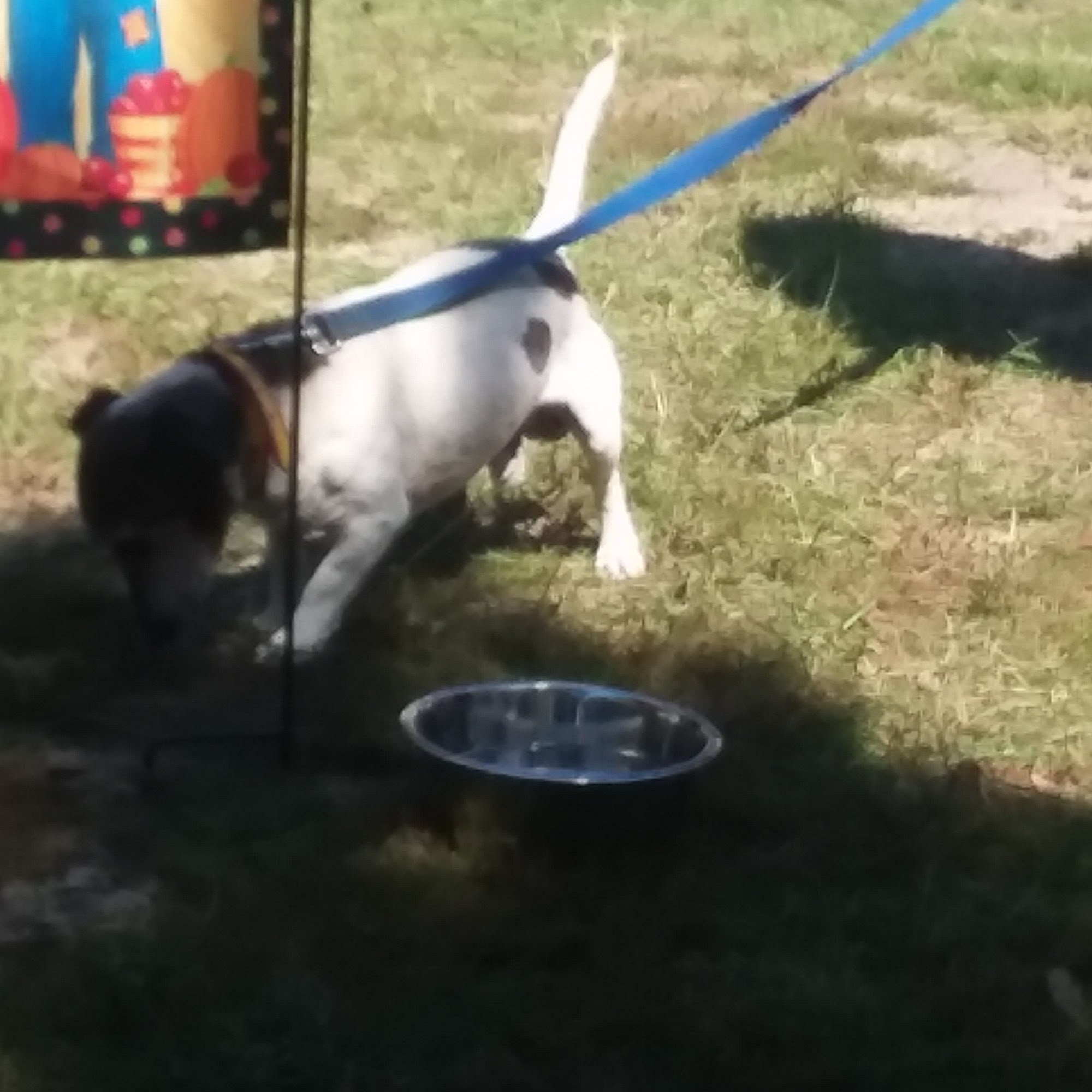 Big Fix Fayetteville