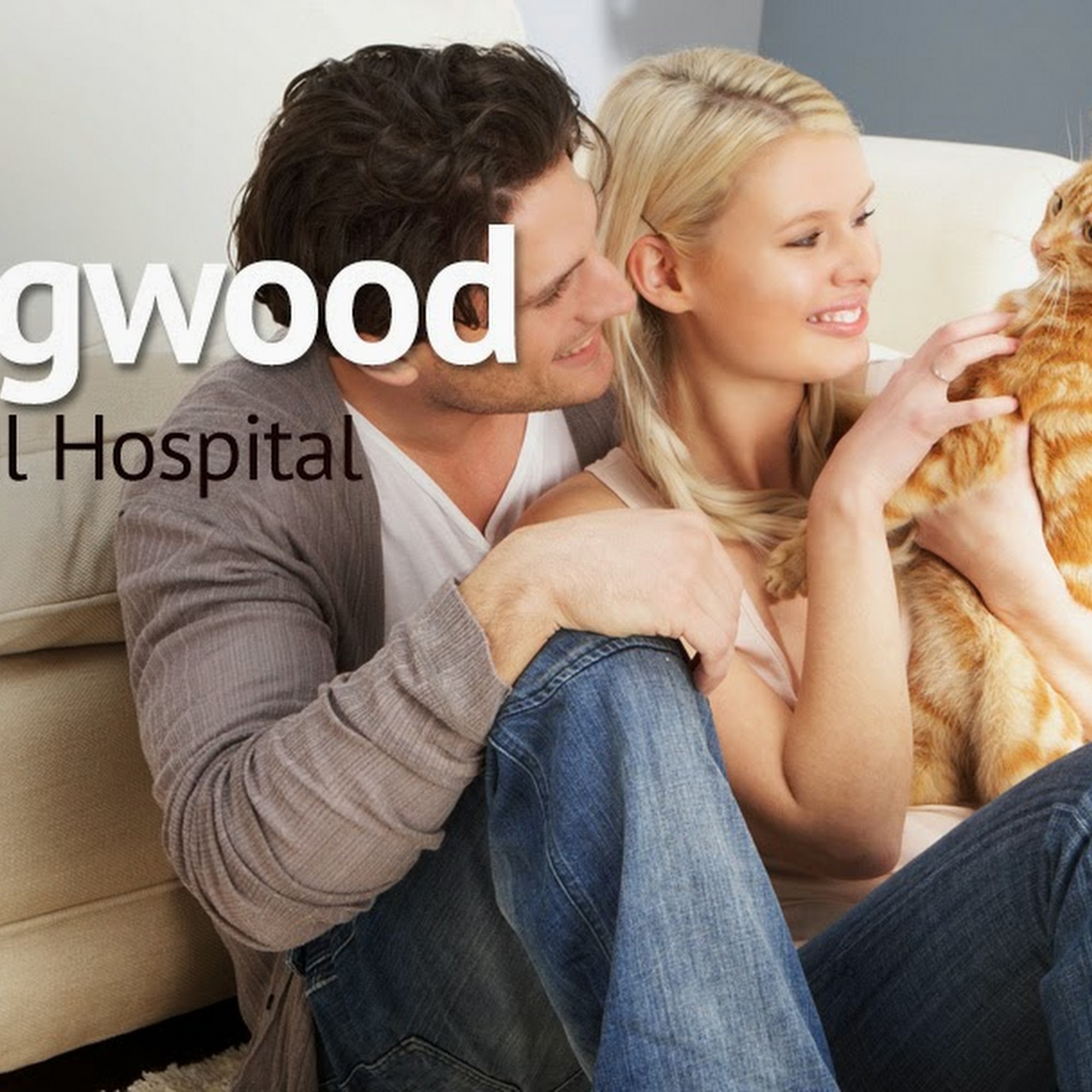Dogwood Animal Hospital Fayetteville