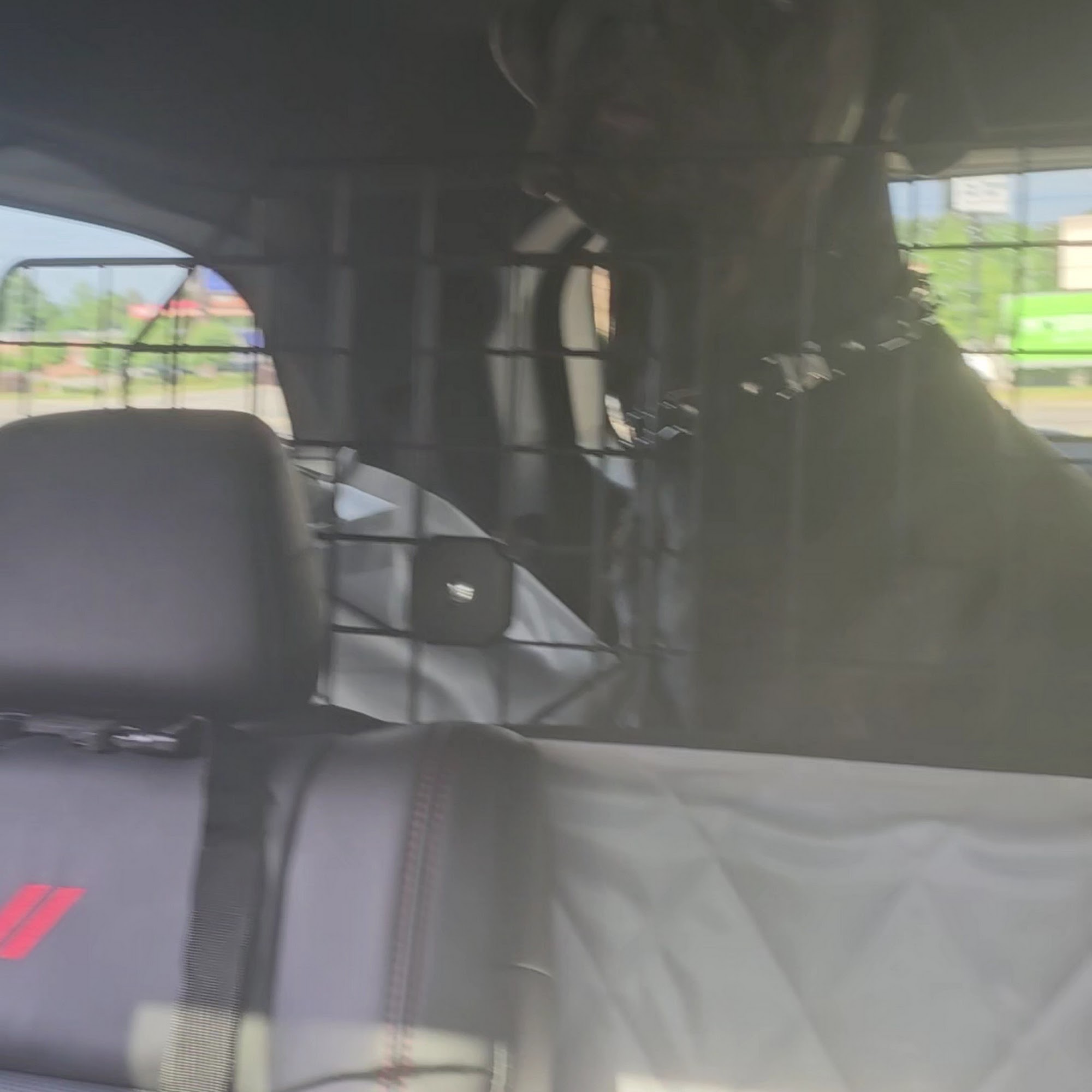 Reilly Road Animal Hospital Fayetteville