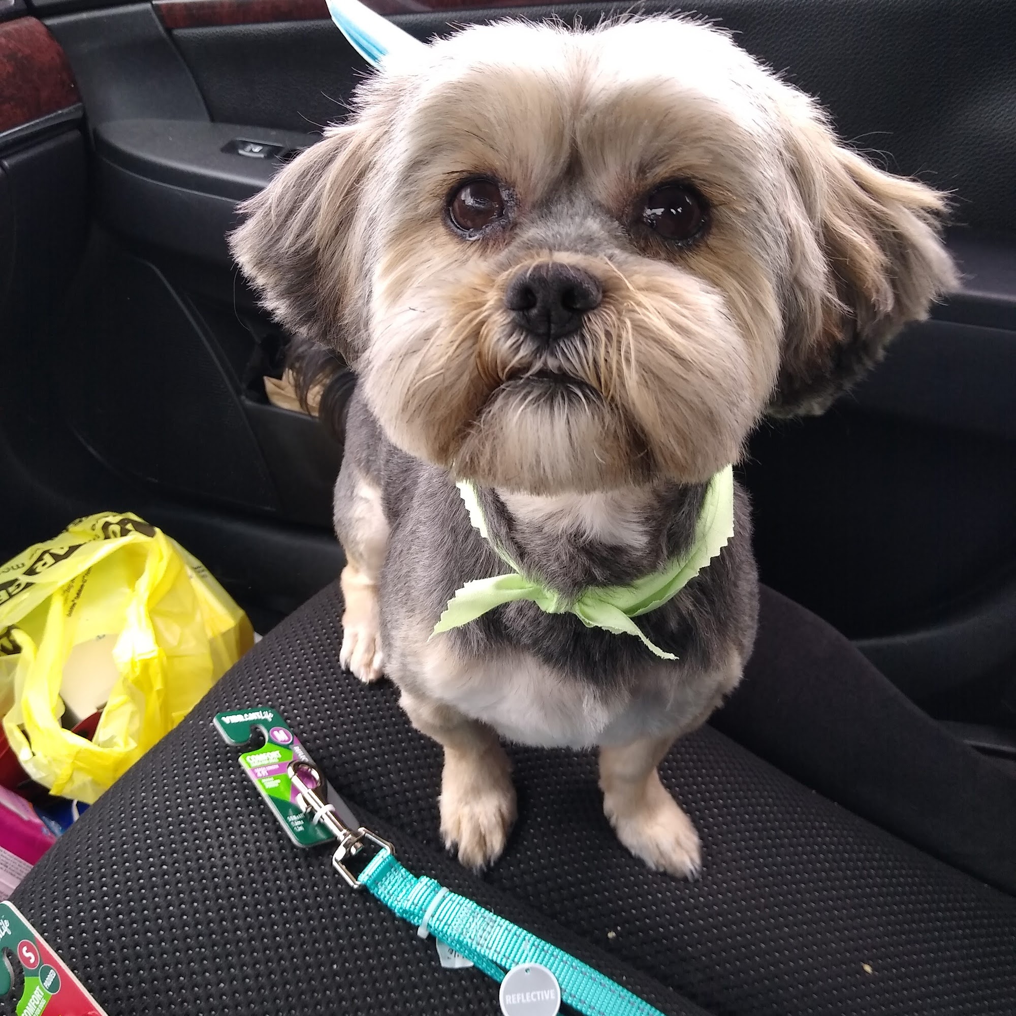 Rim Road Animal Hospital Fayetteville