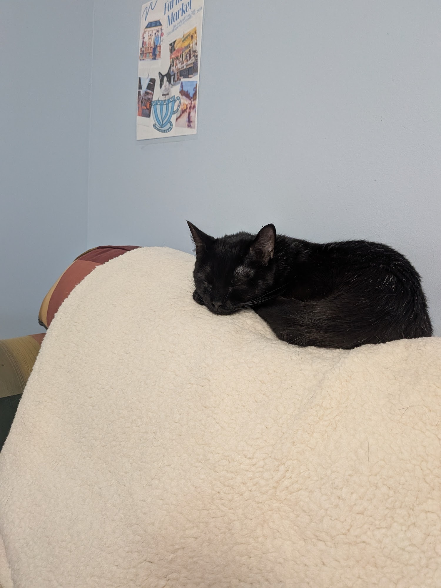 The Farmer's Cat Cafe Menu