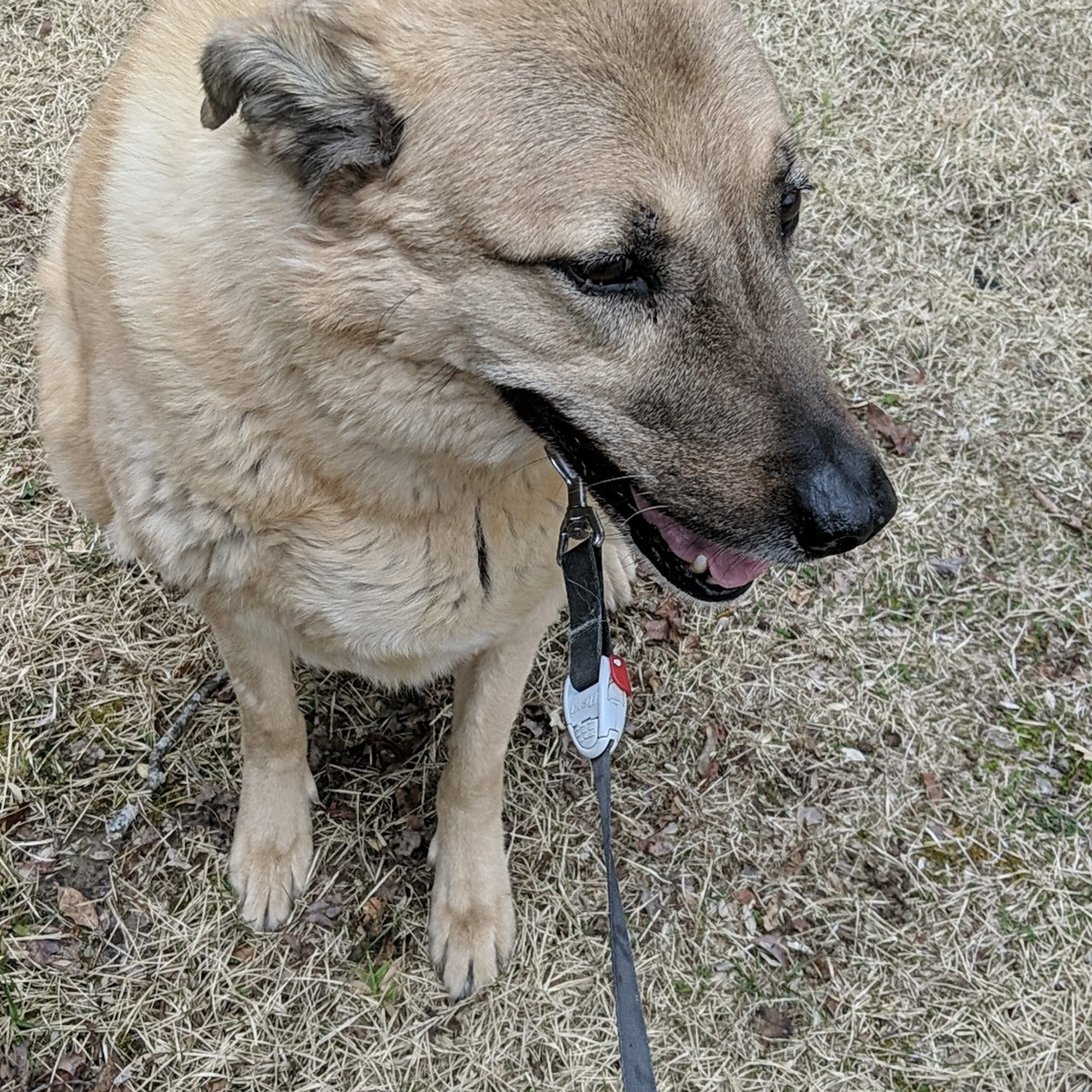Cane Creek Animal Clinic and Equine Fletcher