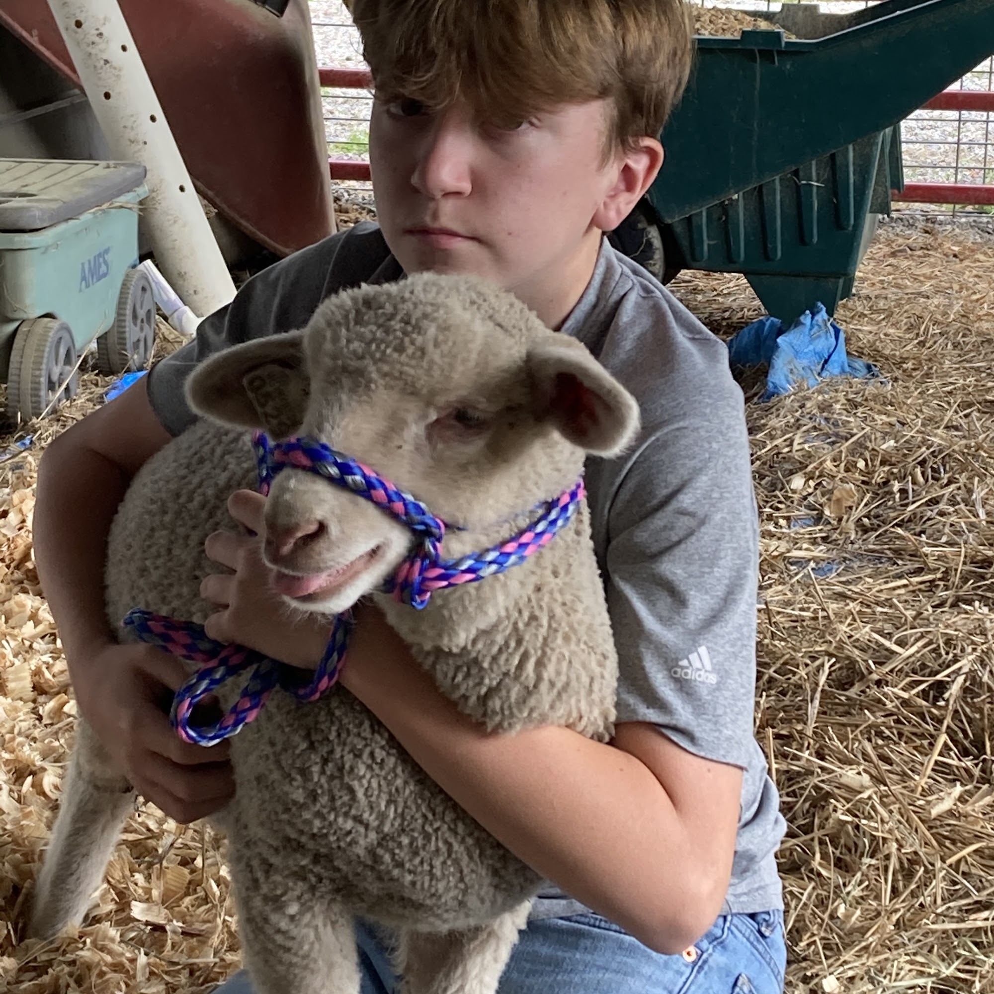 Two Dachshund (Fiber & Lavender) Farm, LLC Franklinton