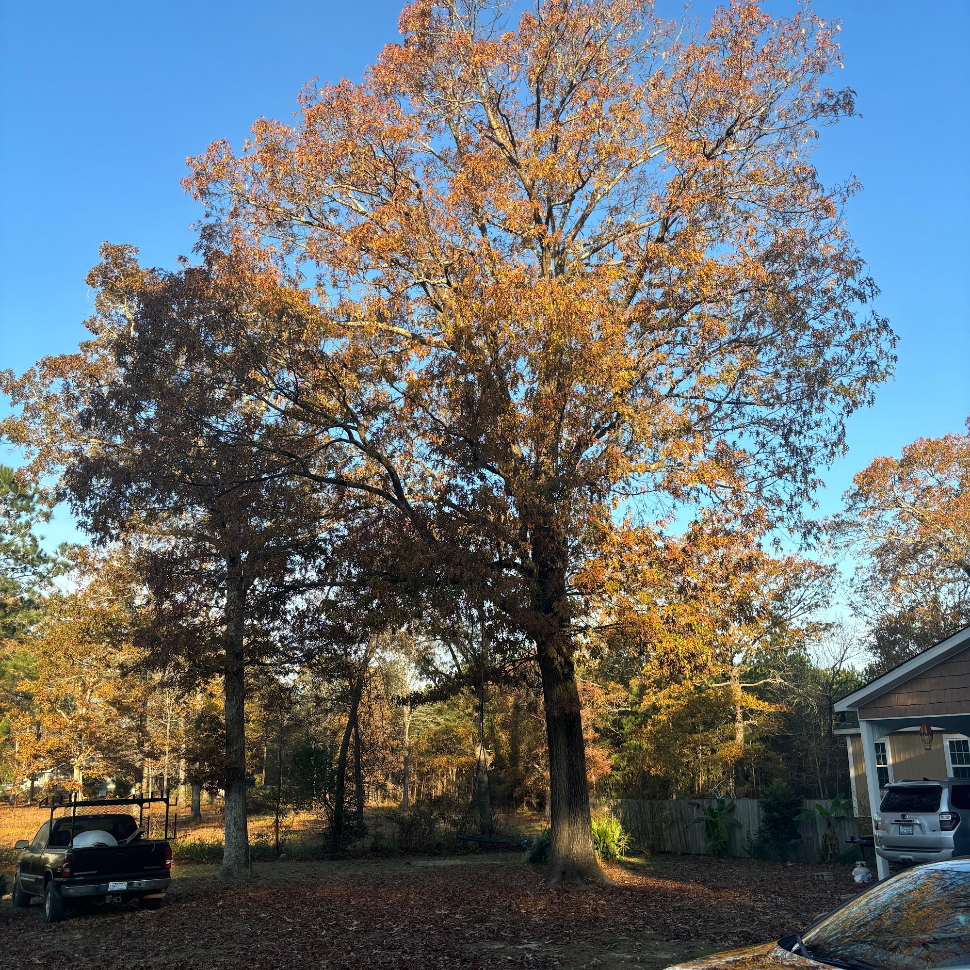 Parrot hardwood floors & home improvements 3486 NC-581, Fremont North Carolina 27830
