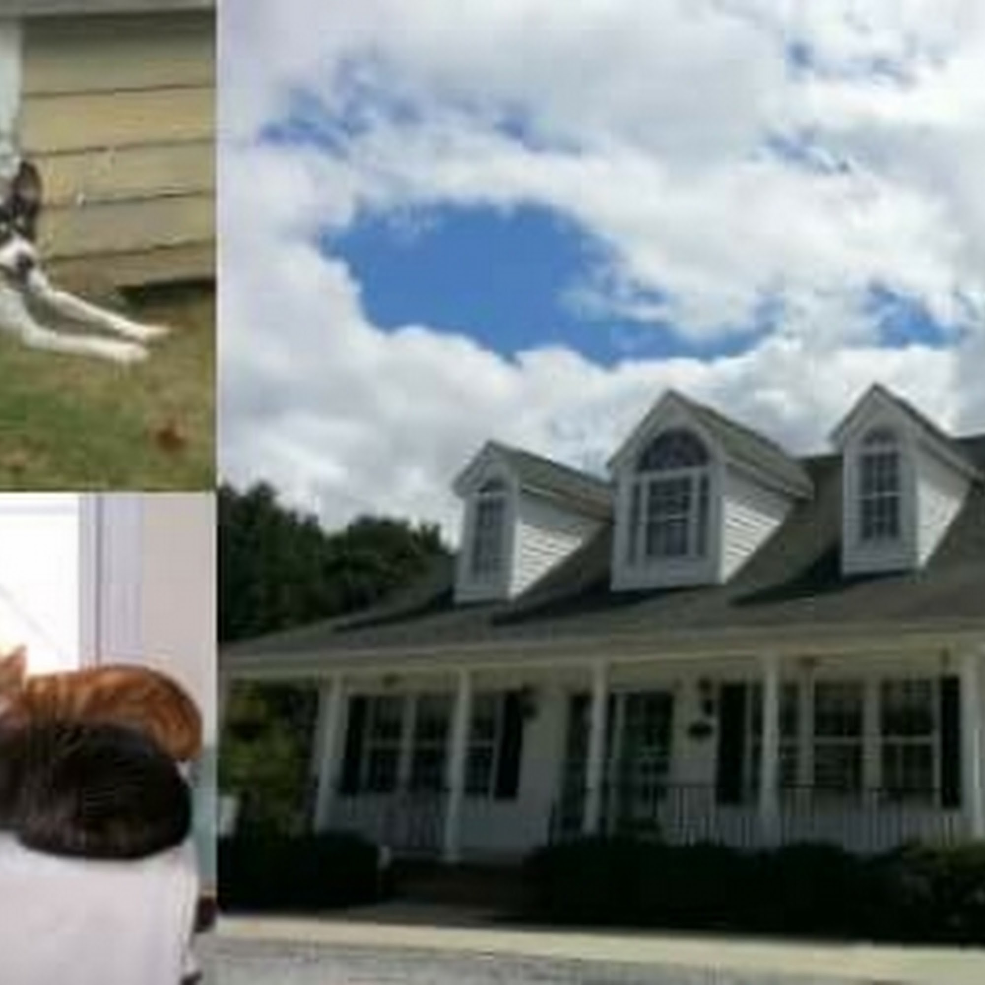 Cleveland Community Veterinary Hospital Garner