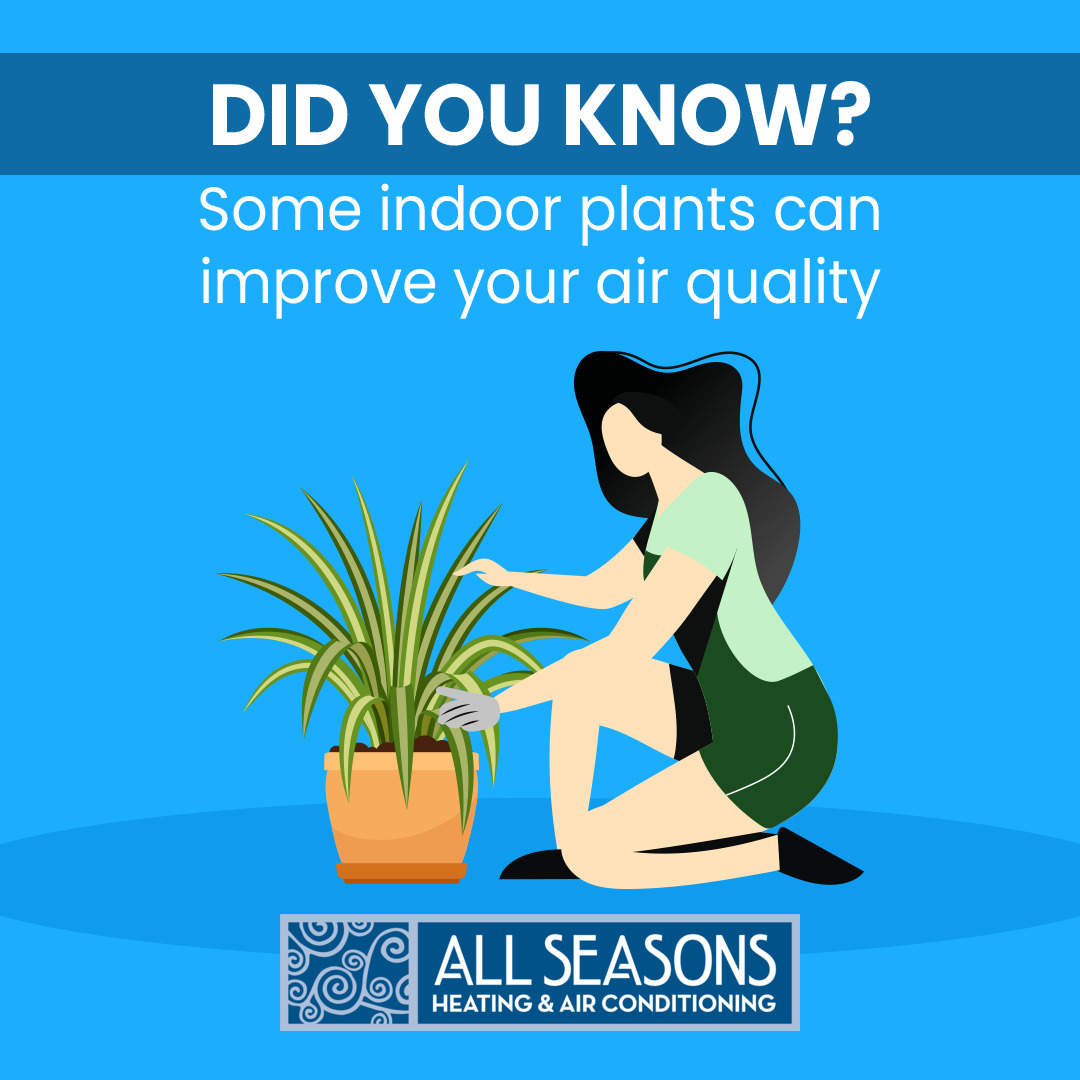 All Seasons Heating & A/C Services