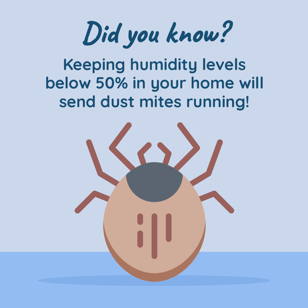 All Seasons Heating & A/C Services