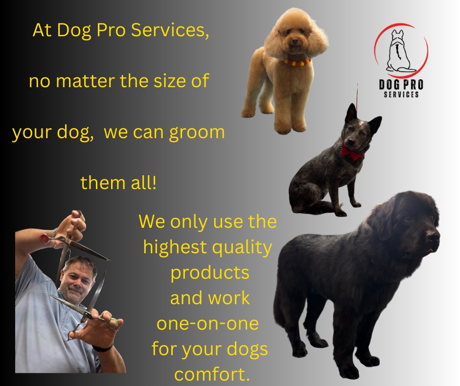 Dog Pro Services Gastonia