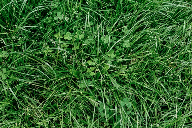 G & G Landscape and Irrigation 1530 Union Rd STE B, Gastonia North Carolina 28054