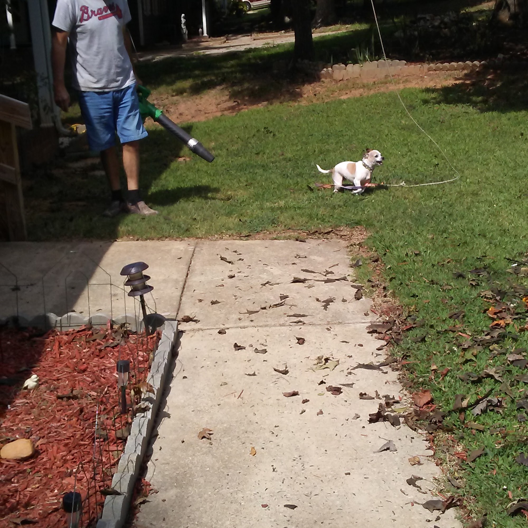Marc Wells Lawn Maintenance