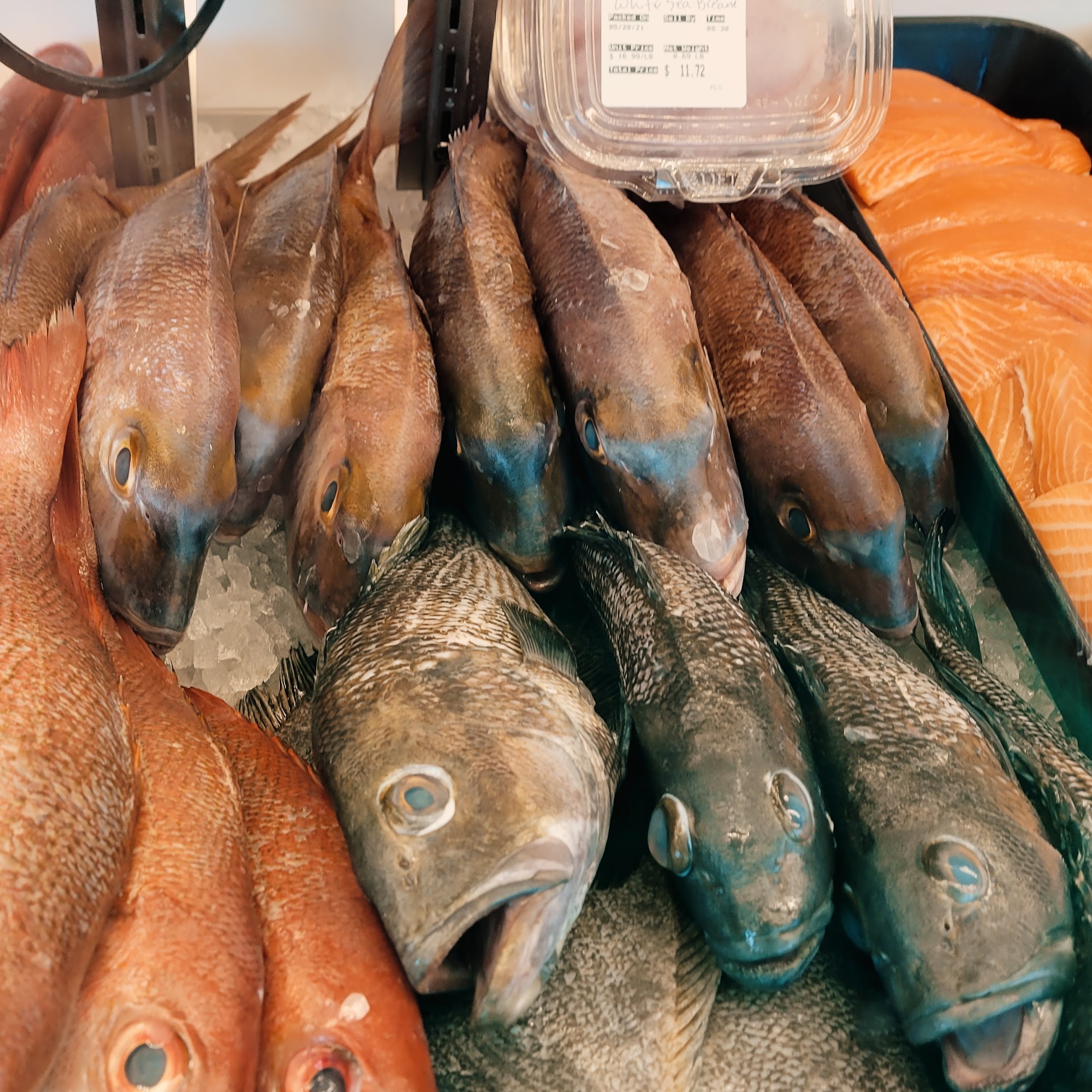 Saltwater Markets