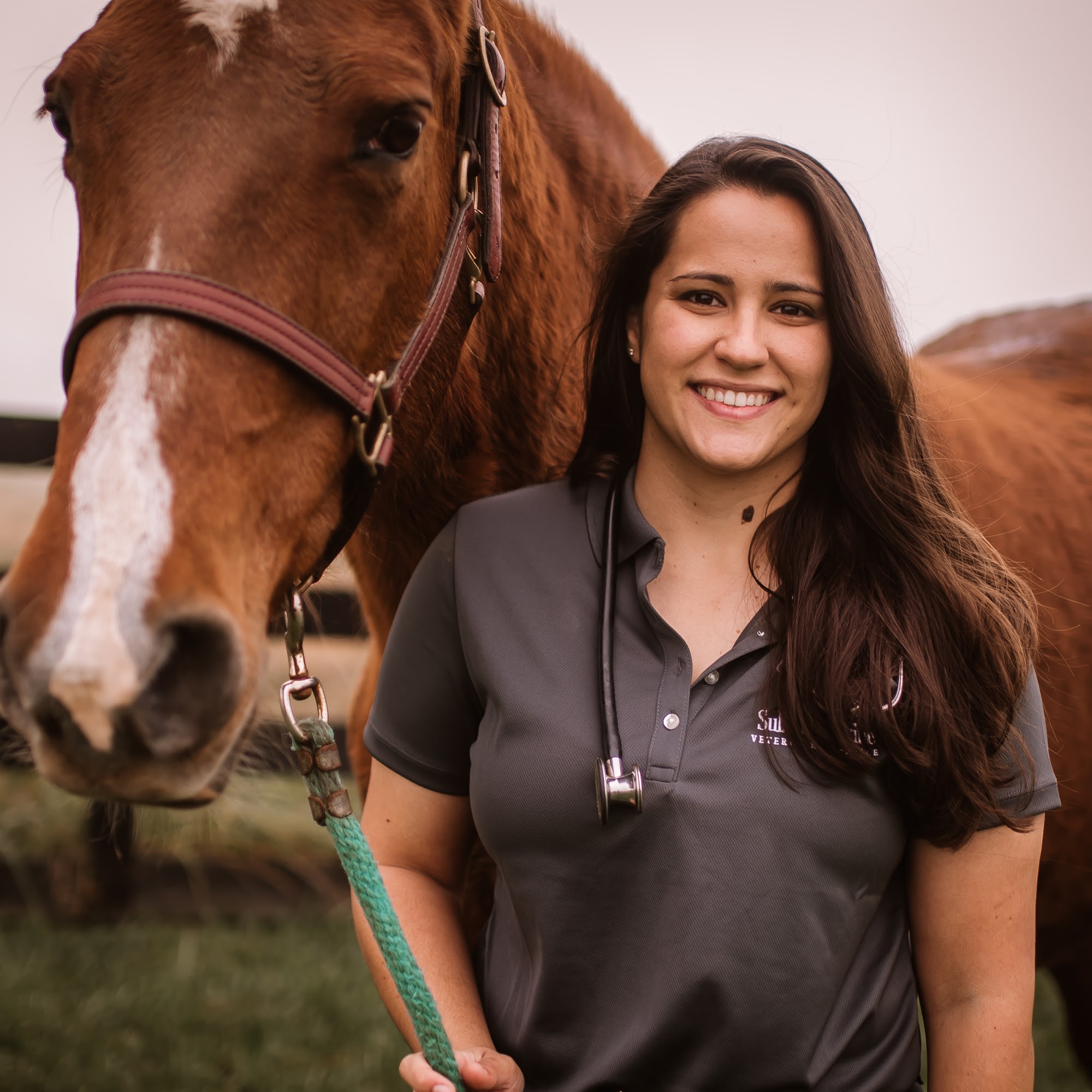 Sullivan Equine Veterinary Service Germanton