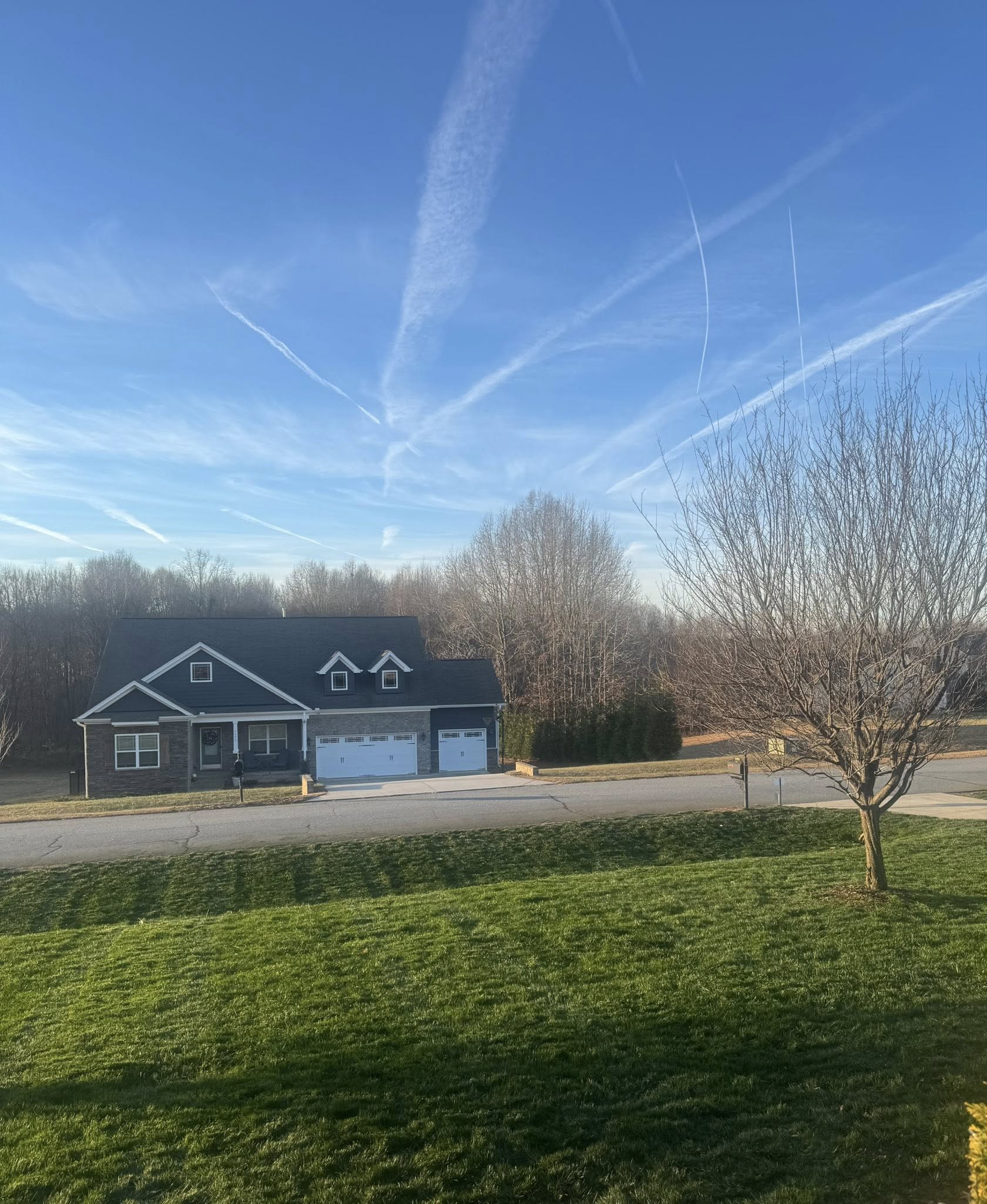 Williamson Landscaping & Lawn