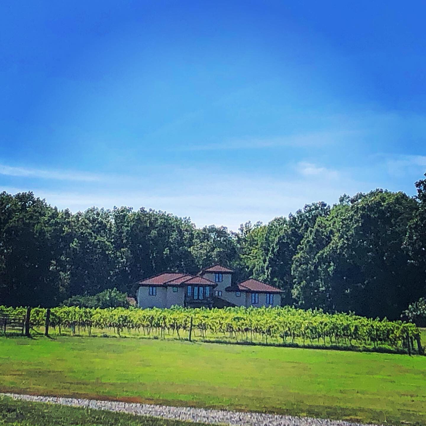 Morgan Ridge Vineyards Menu