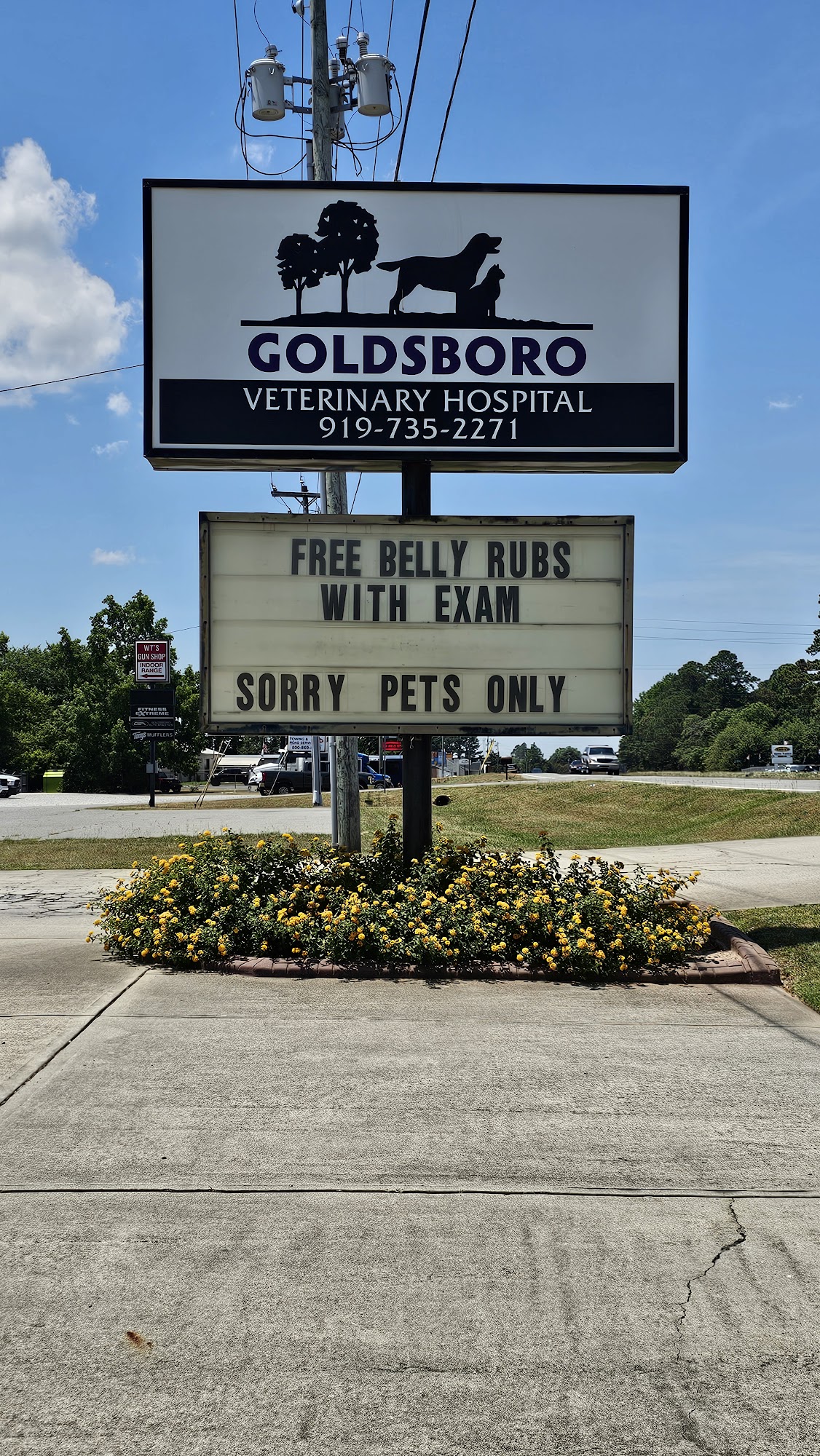 Goldsboro Veterinary Hospital Goldsboro