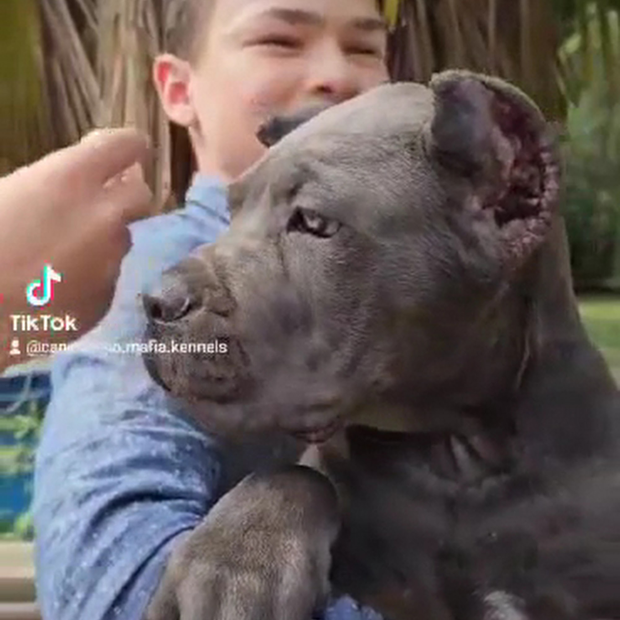 Wayne Veterinary Hospital Goldsboro