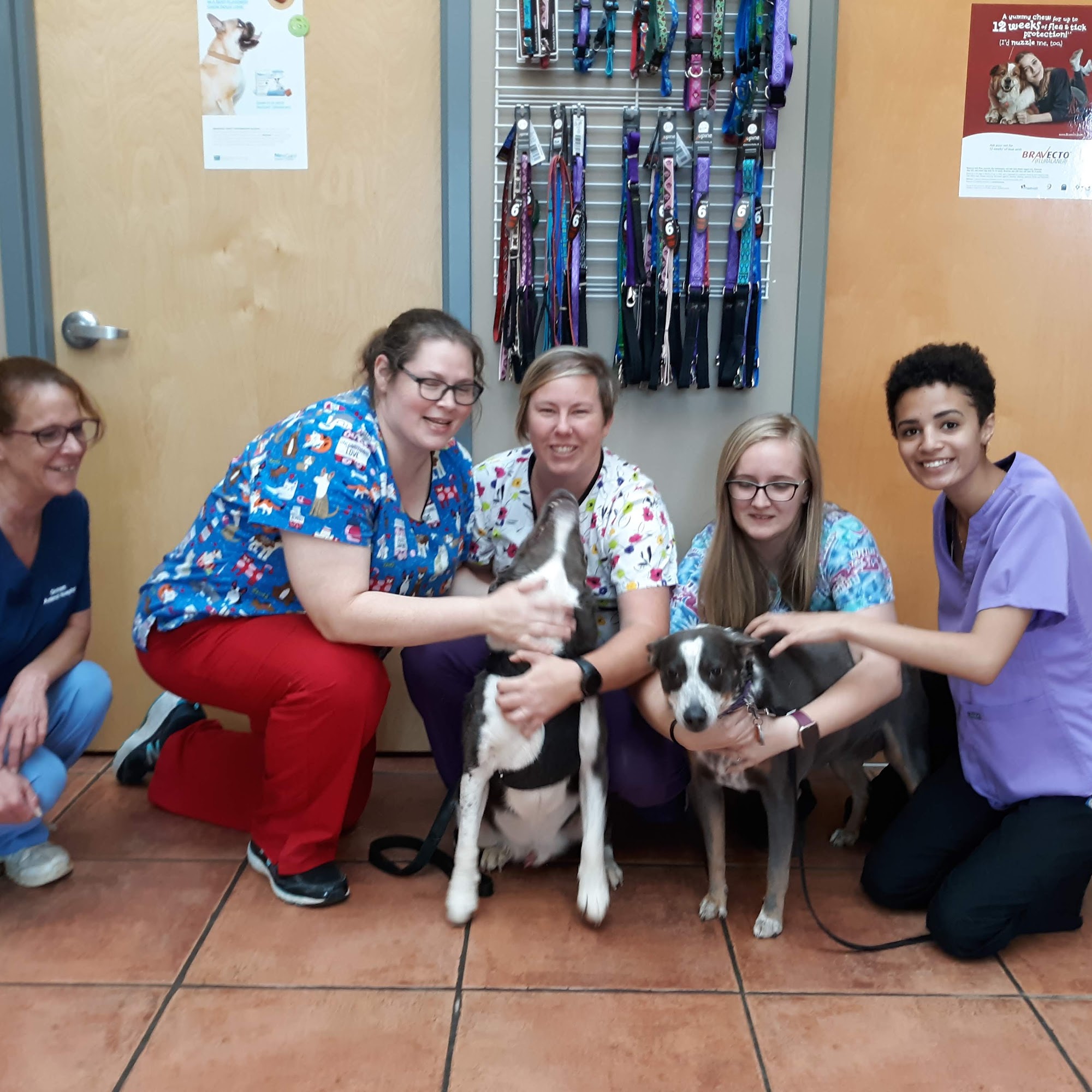 Graham Animal Hospital Graham