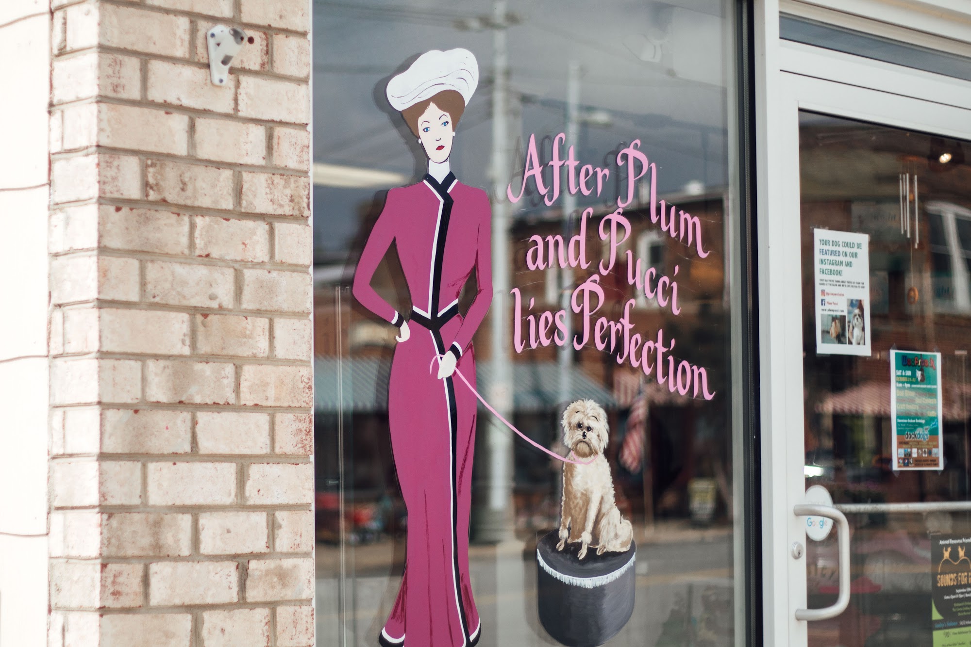 Plum Pucci Salon Pet Grooming (Graham) Graham