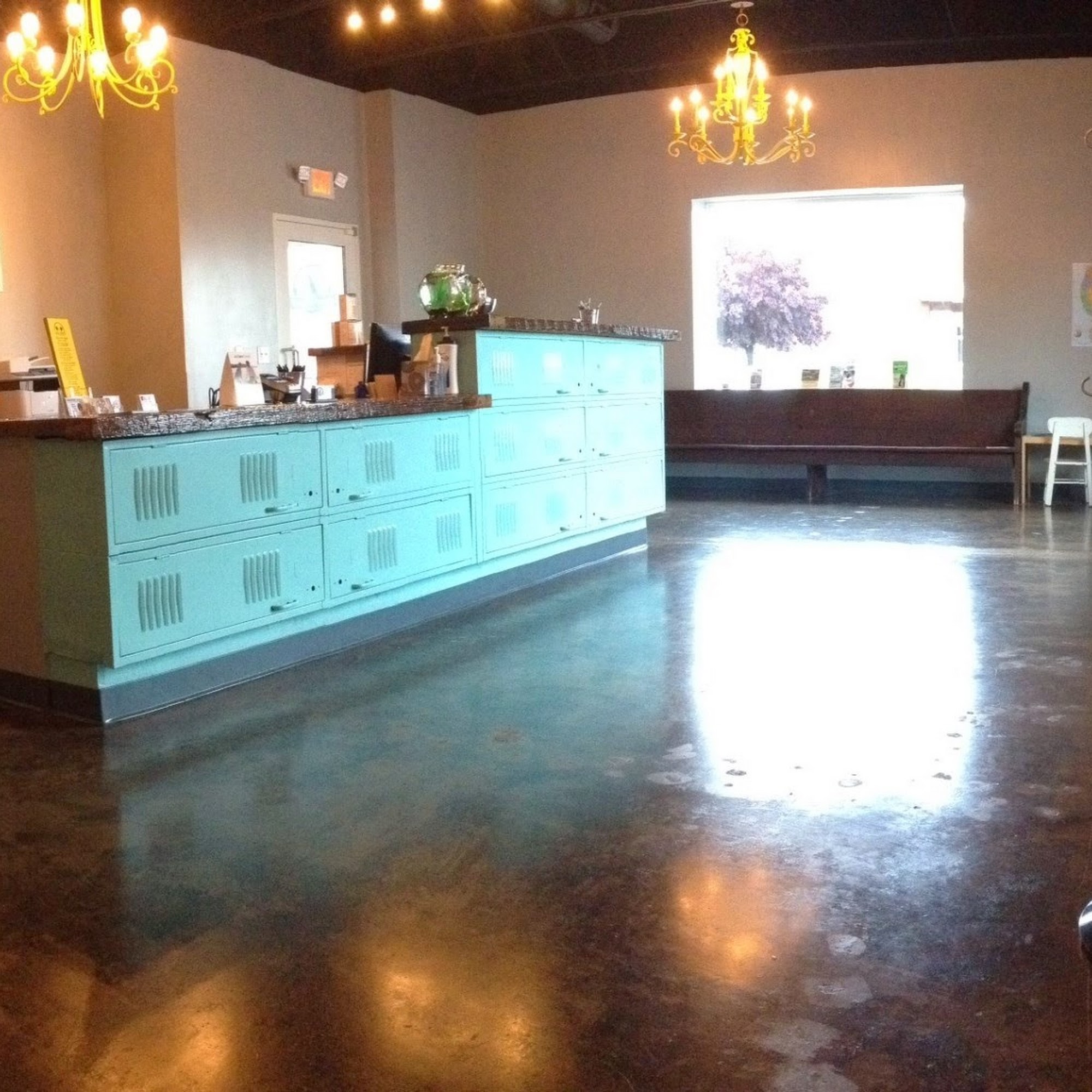 Downtown Greensboro Animal Hospital Greensboro