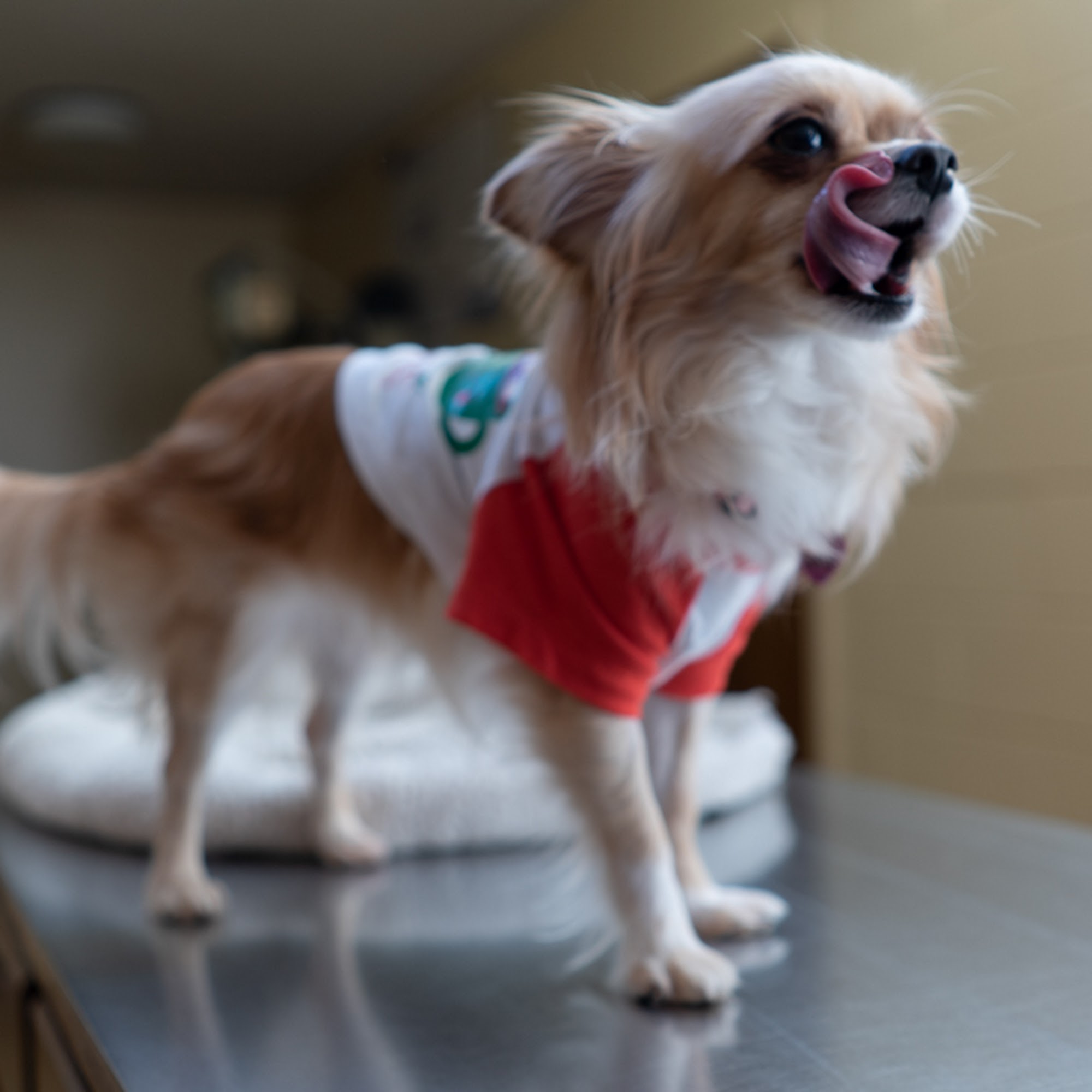 West Market Veterinary Hospital Greensboro