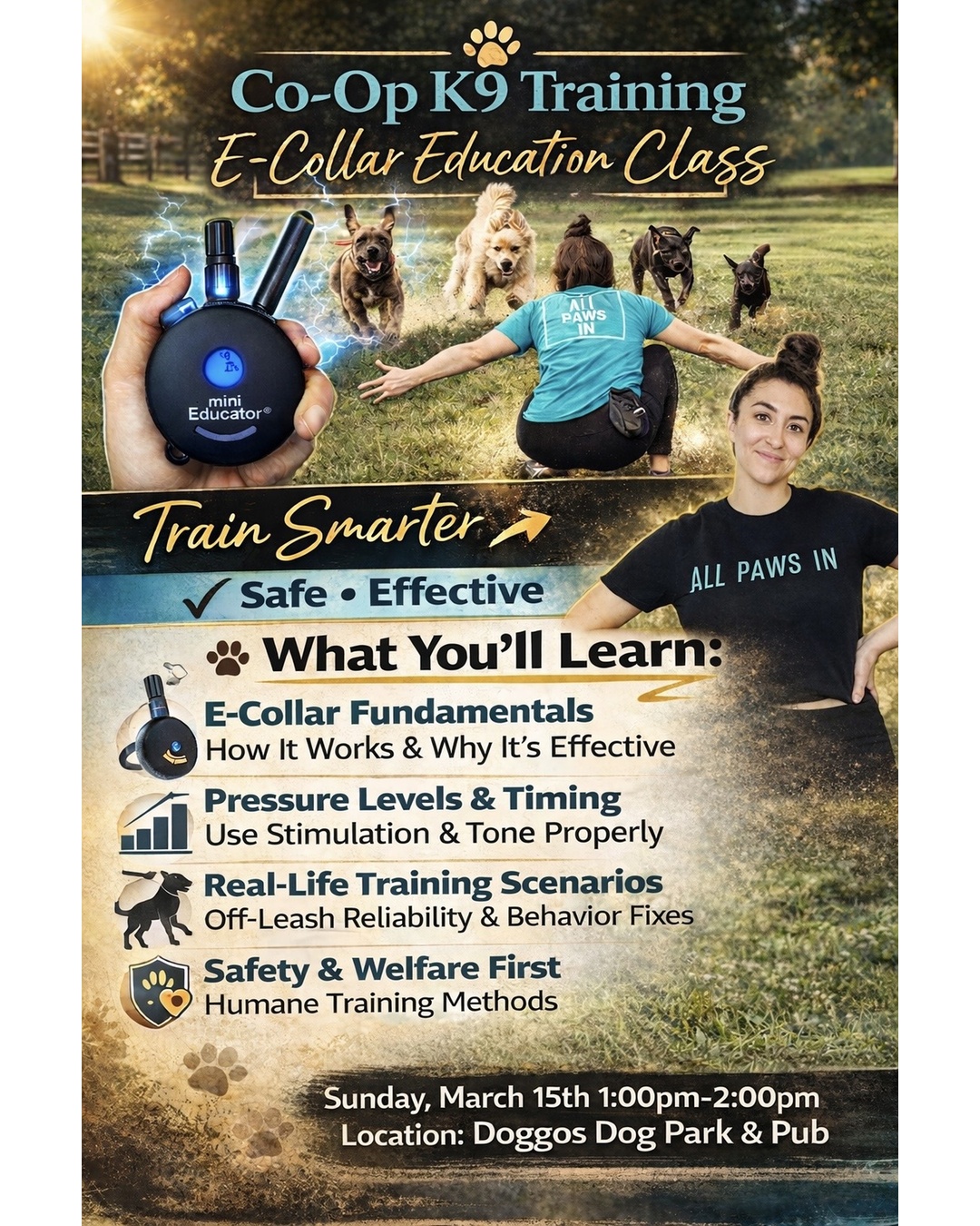 Doggos Dog Park & Pub Greensboro