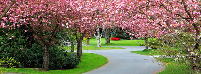 Guilford Garden & Lawn