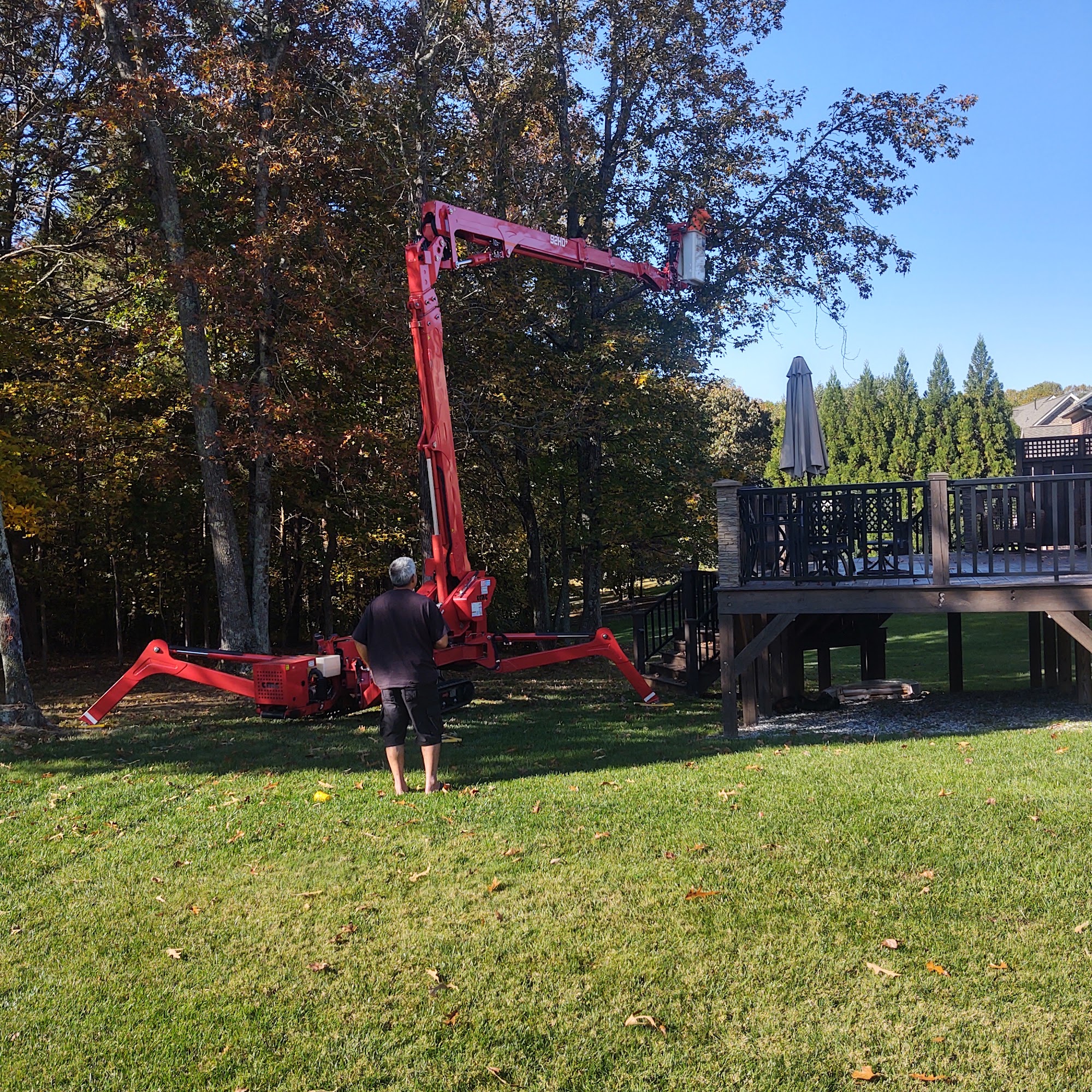 Affordable Lawn Care