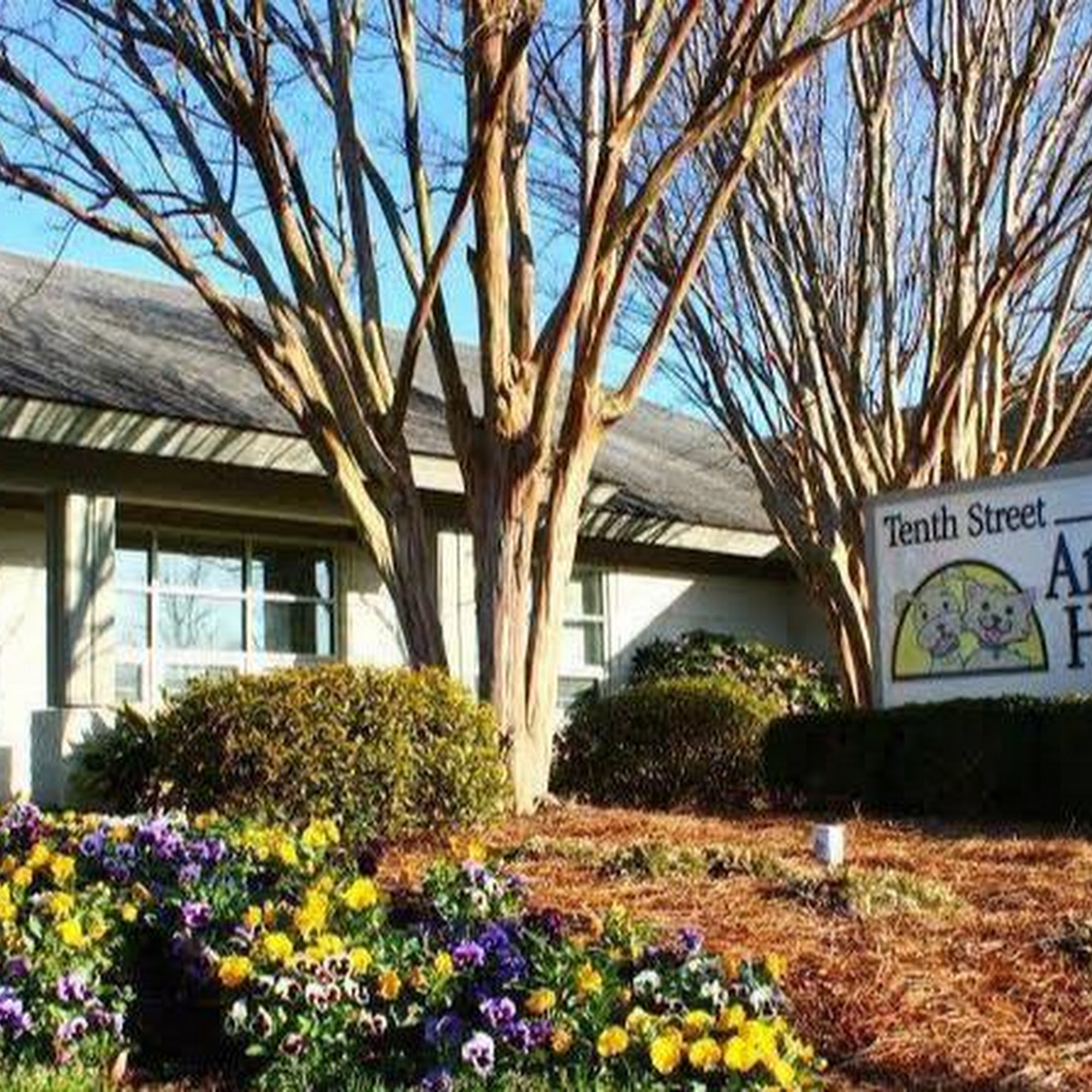 Tenth Street Animal Hospital Greenville