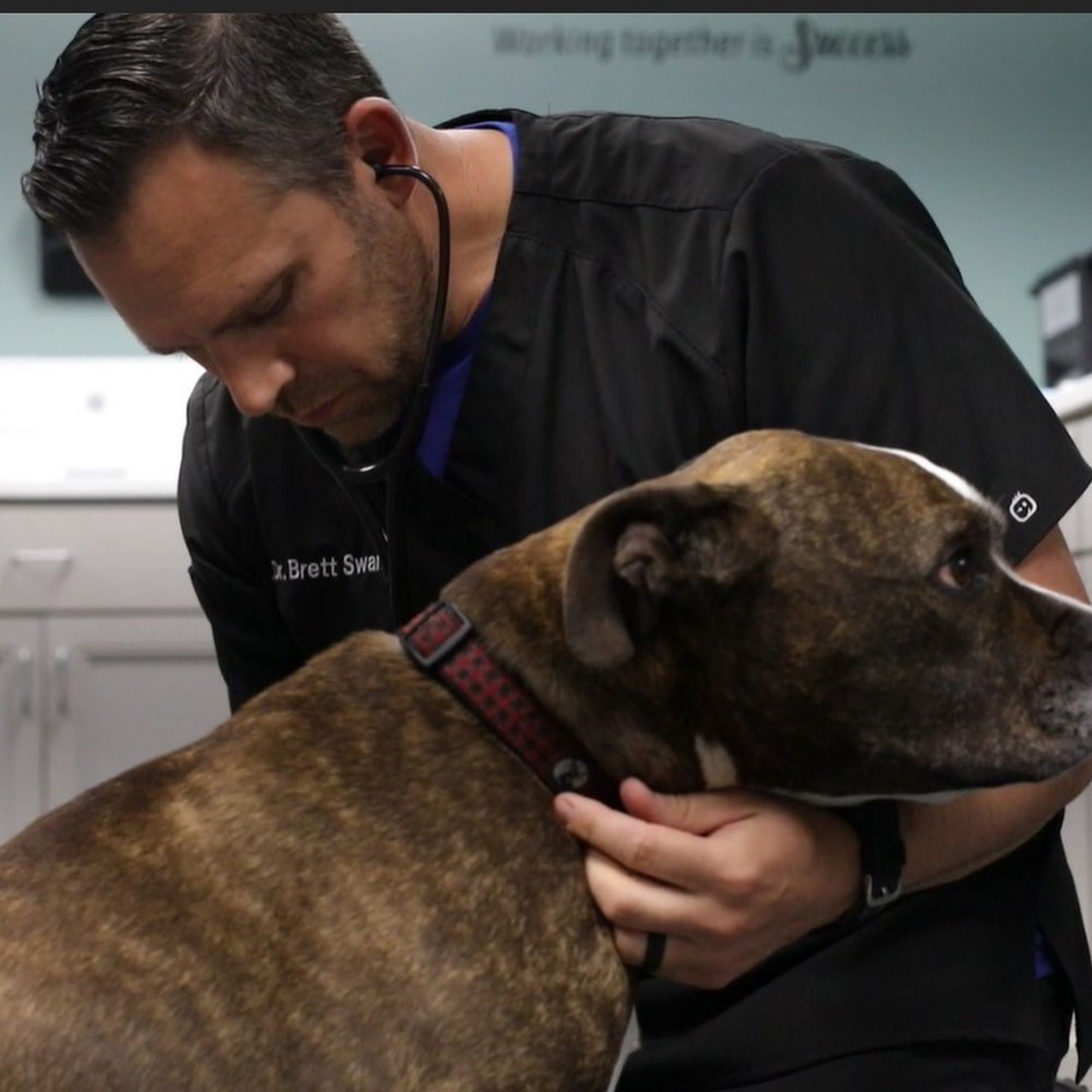 Trinity Veterinary Hospital Greenville