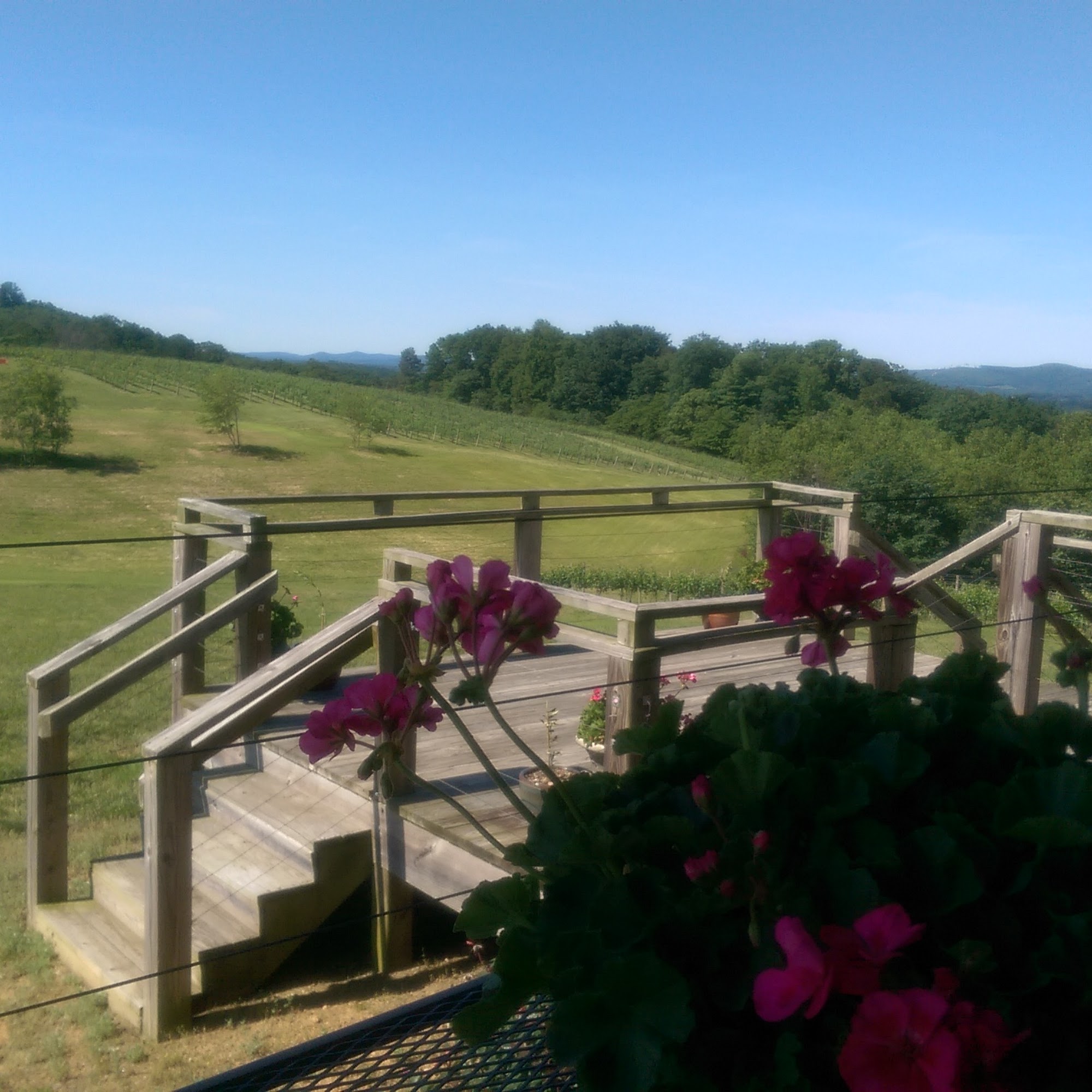 Dobbins Creek Vineyards Hamptonville