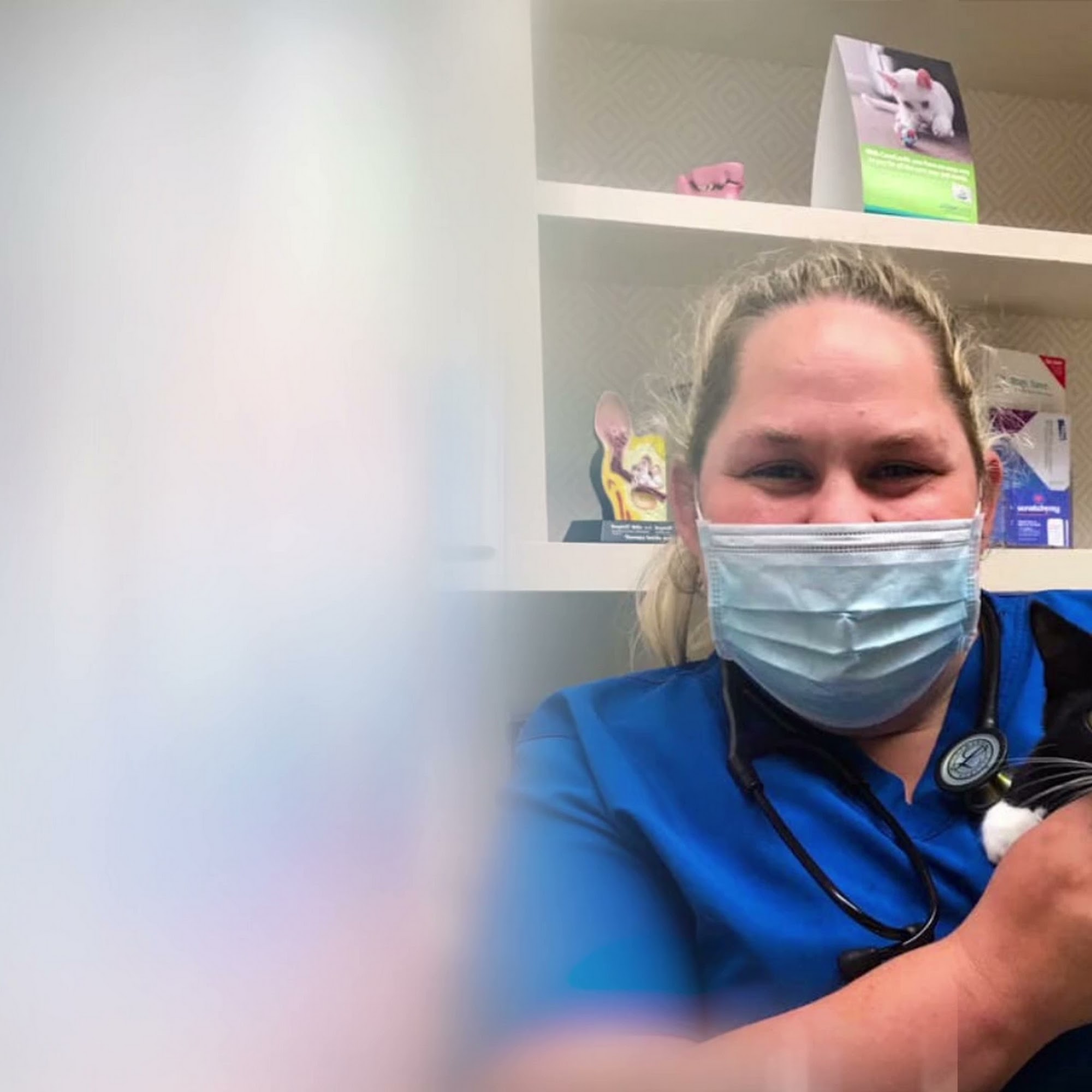 West Hills Veterinary Centre Henderson