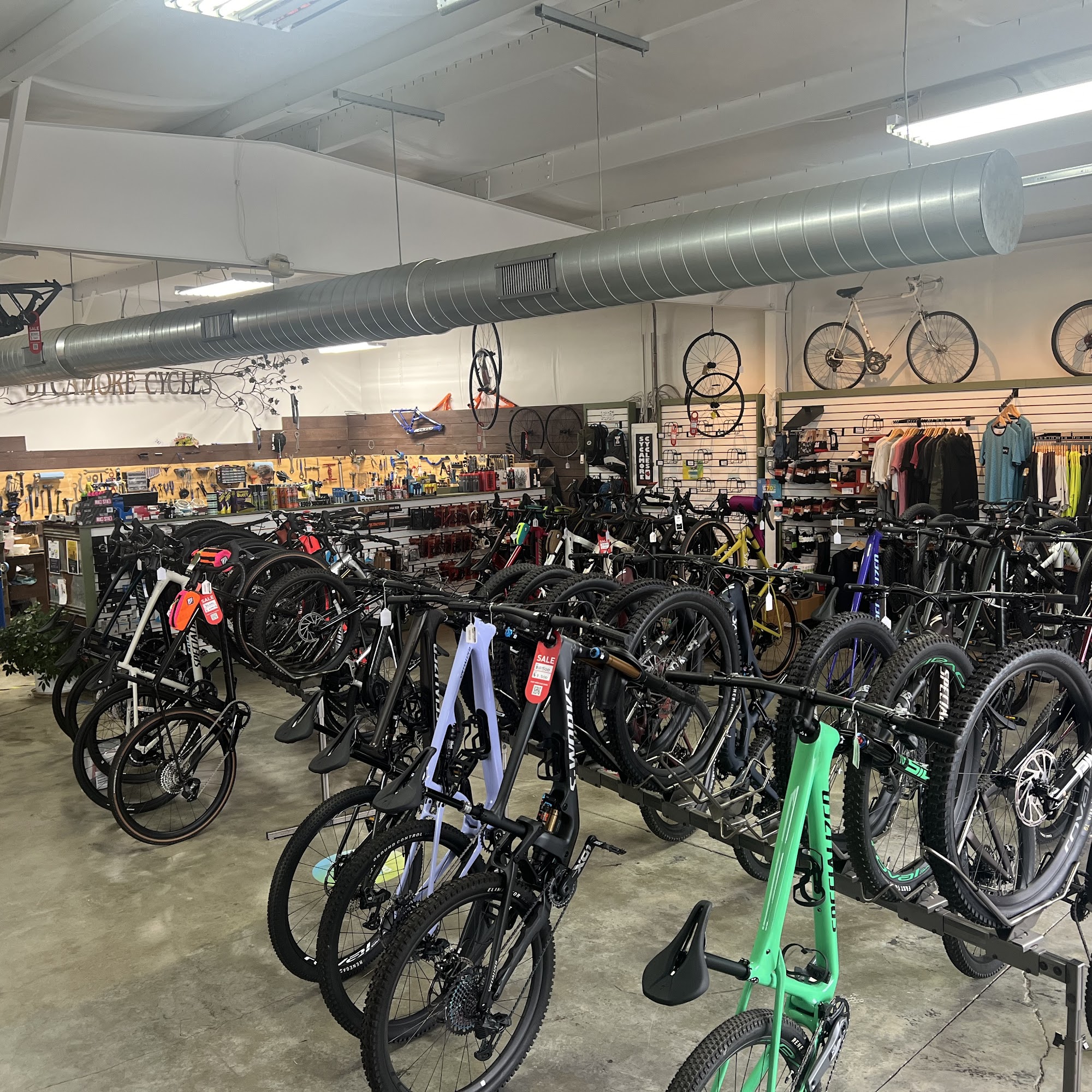 Sycamore Cycles Hendersonville