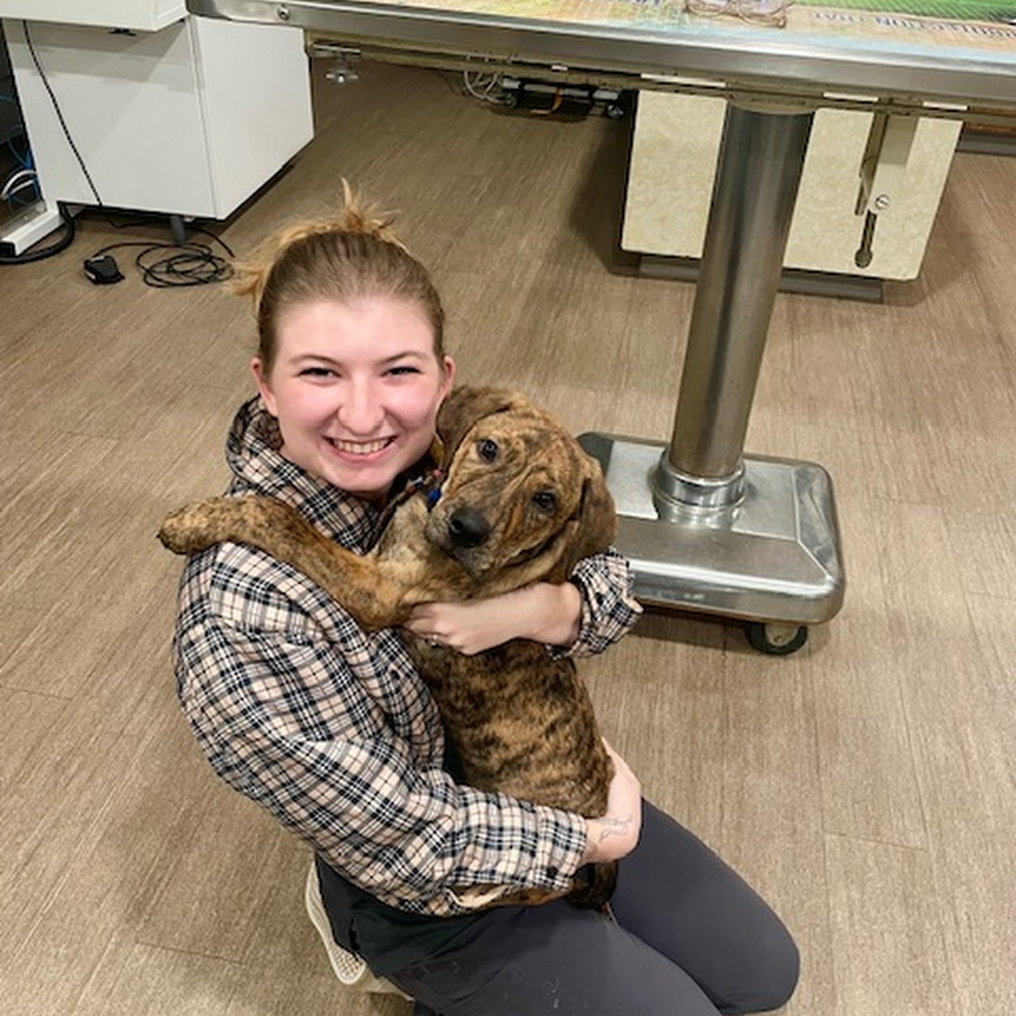 Springs Road Animal Hospital Hickory