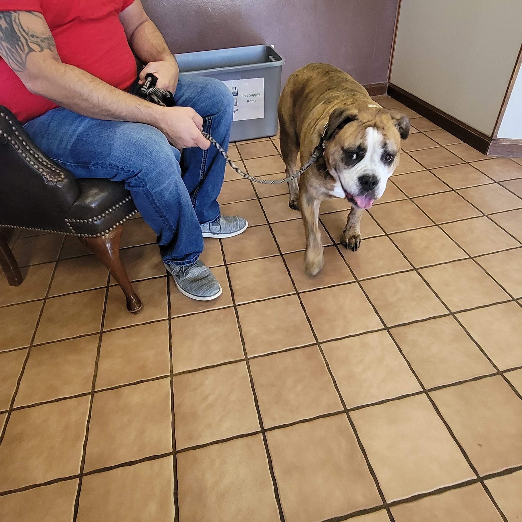 Mountain View Animal Hospital Hickory