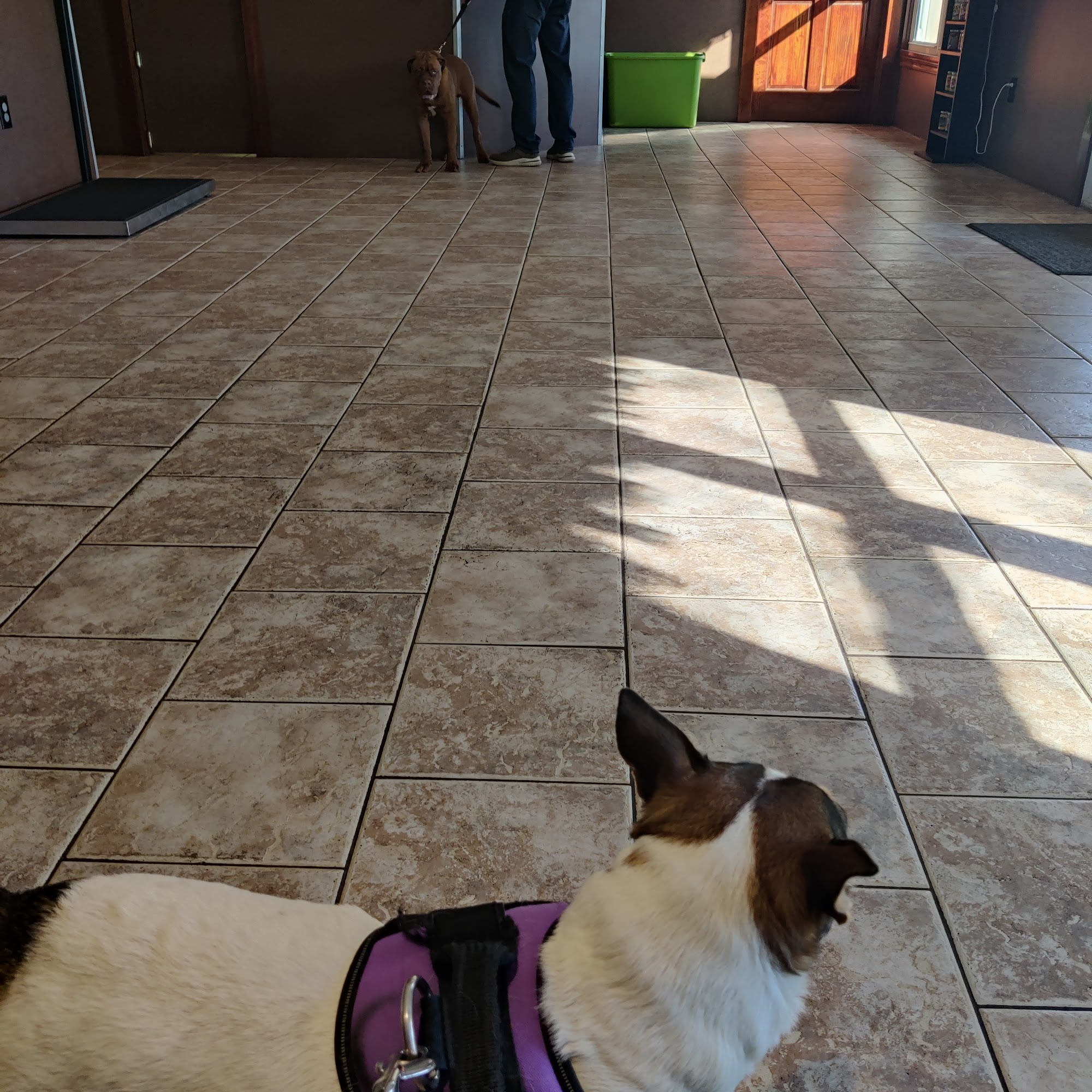 Bethlehem Animal Hospital Hickory