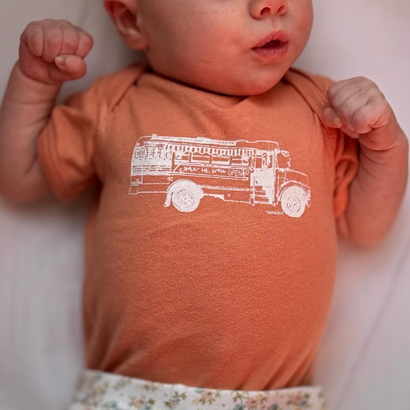 Taproot Coffee Hickory