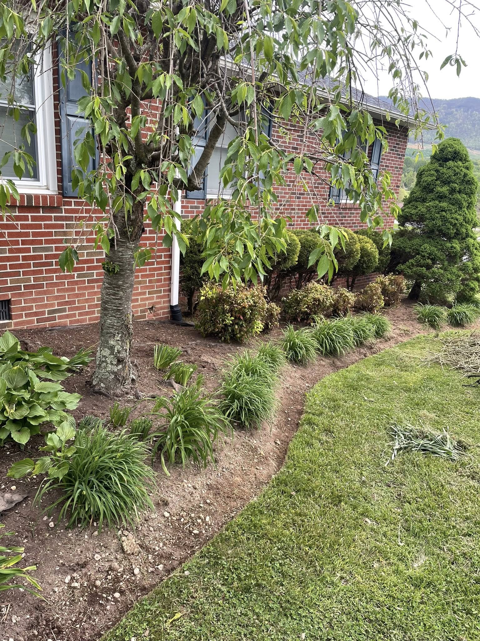 Simmons Lawncare & Handyman