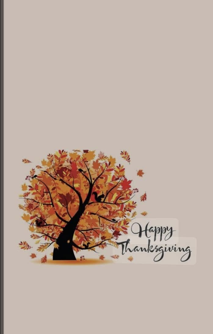 Simmons Lawncare & Handyman