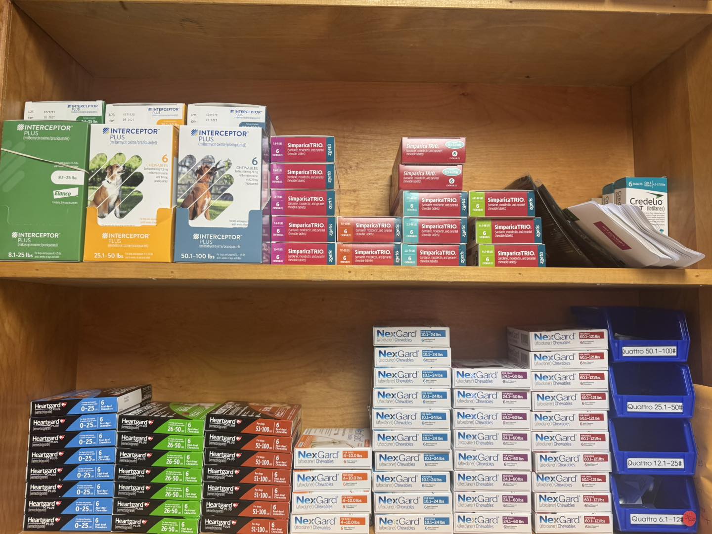 All Hearts Animal Hospital Hickory