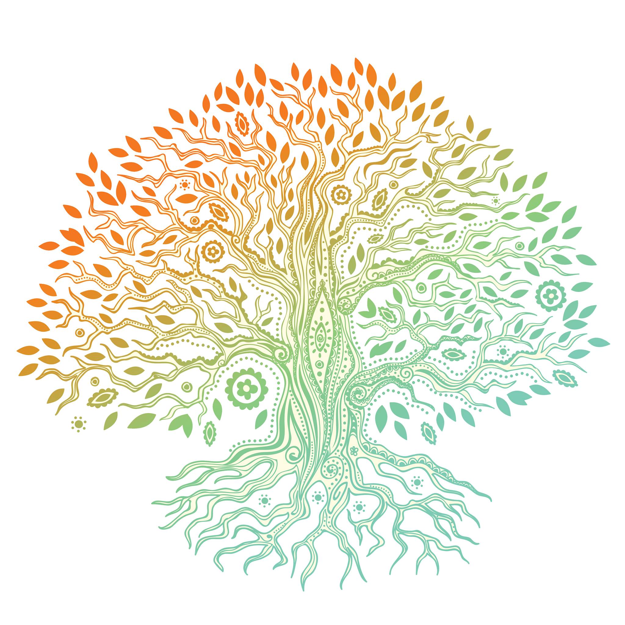 Tranquility Skincare