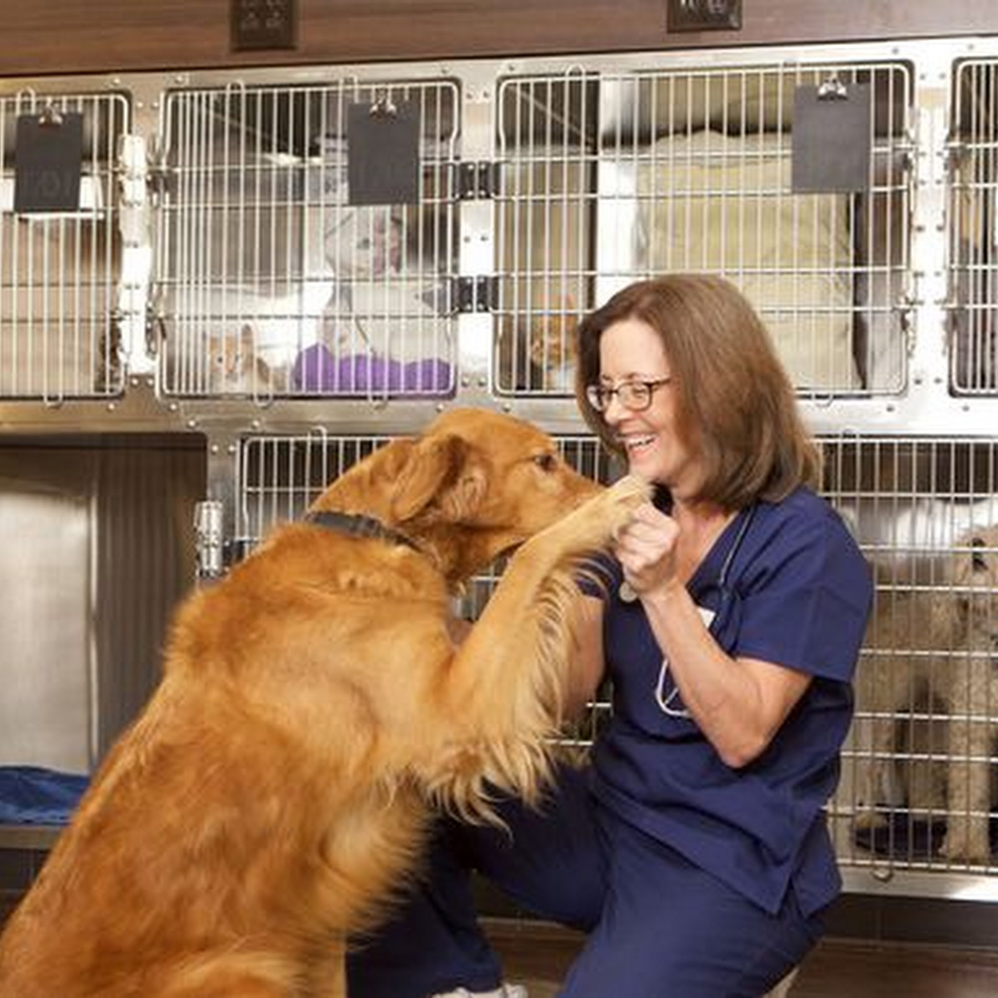 Deep River Veterinary Hospital High Point