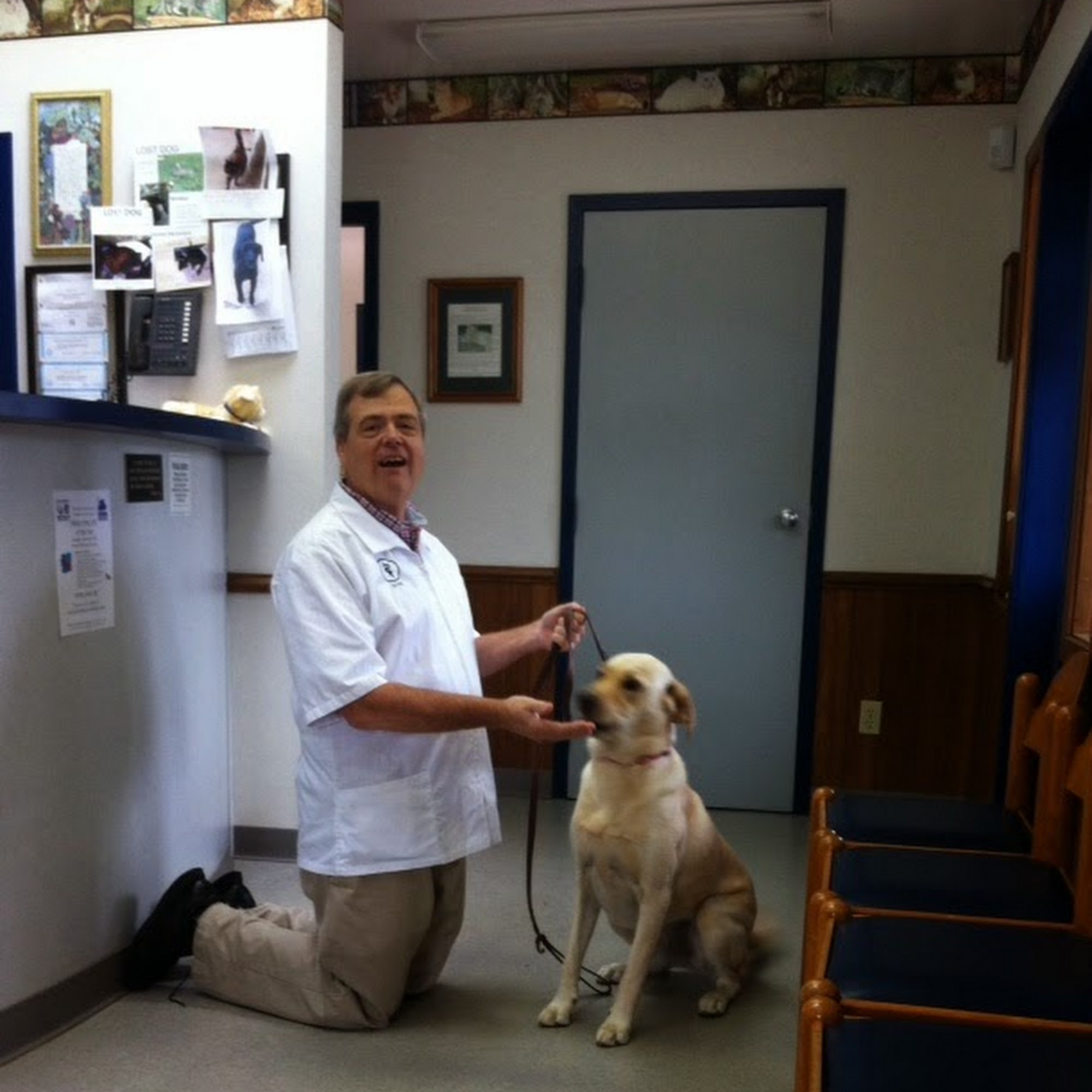 Emerywood Veterinary Hospital PA High Point