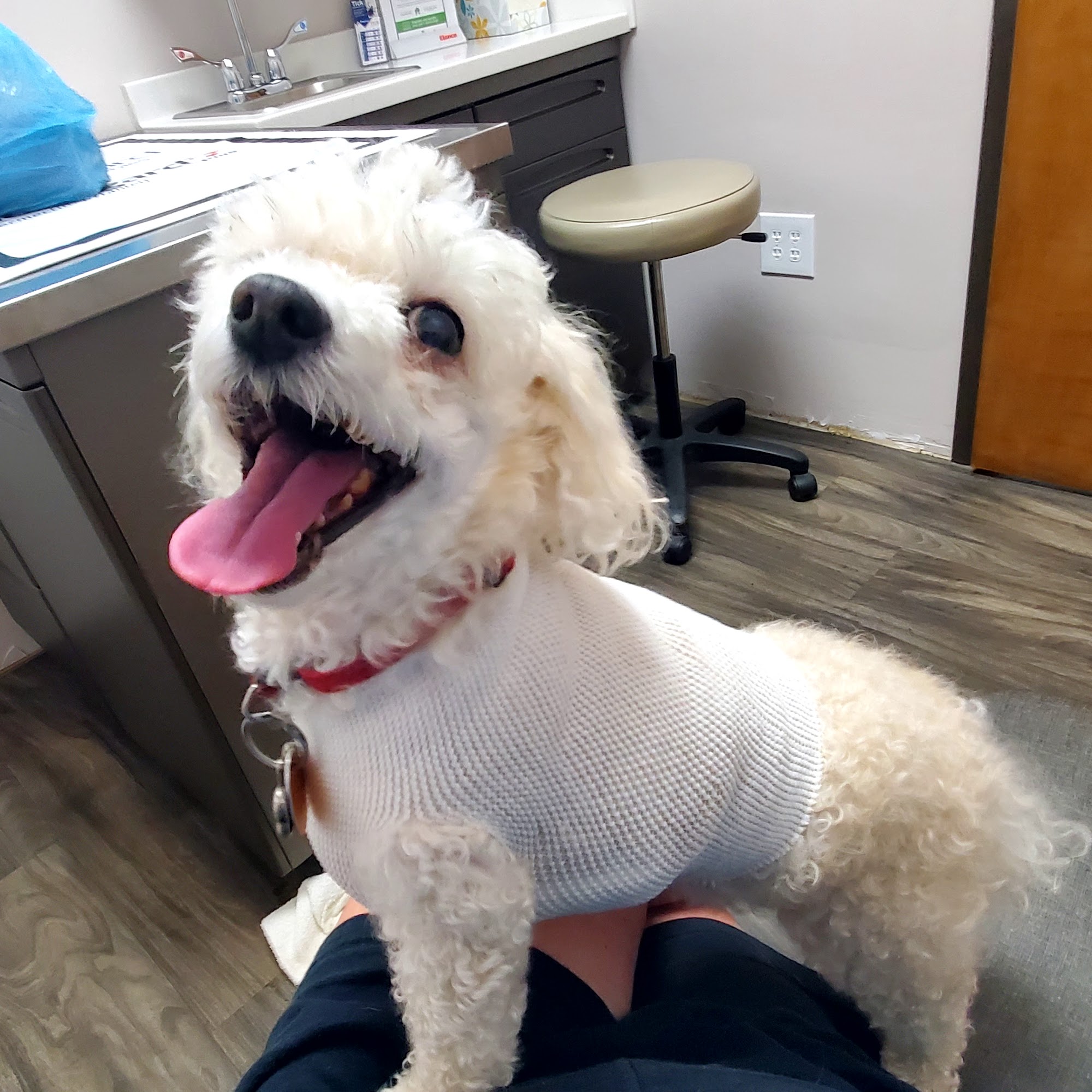 Center Veterinary Hospital High Point