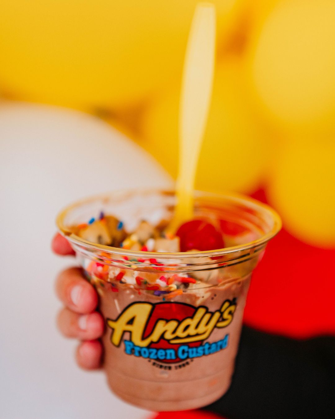 Andy's Frozen Custard High Point