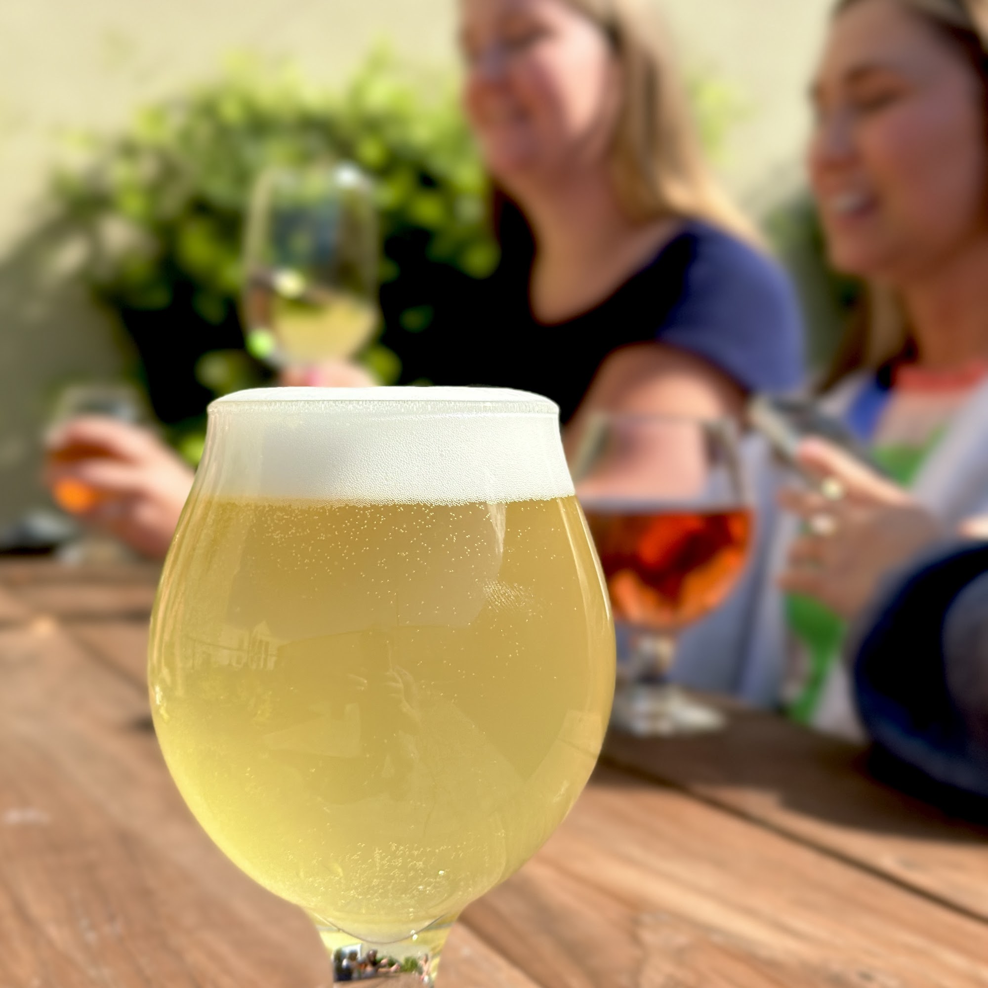 Nomad Wine Works High Point