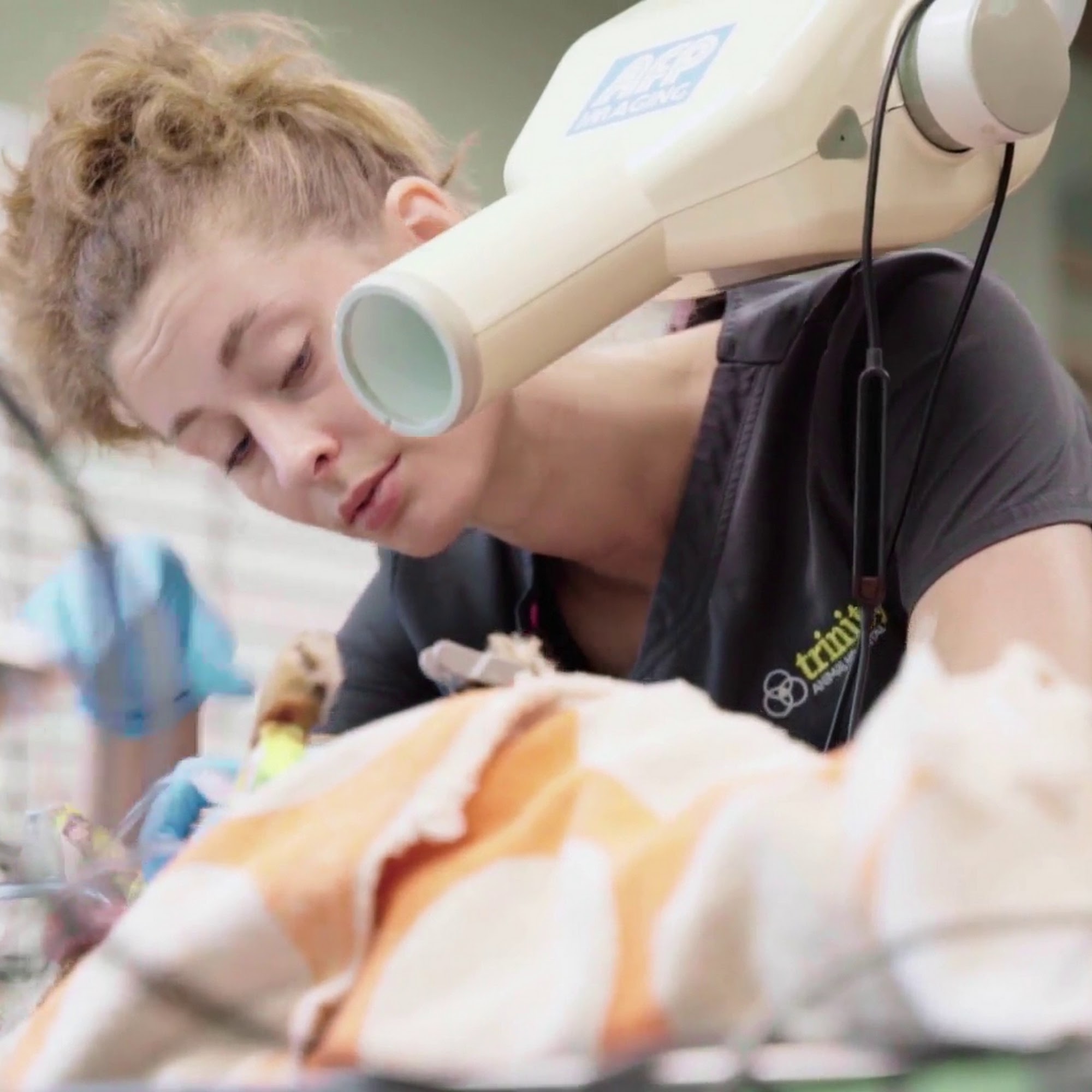 Trinity Animal Hospital Holly Springs